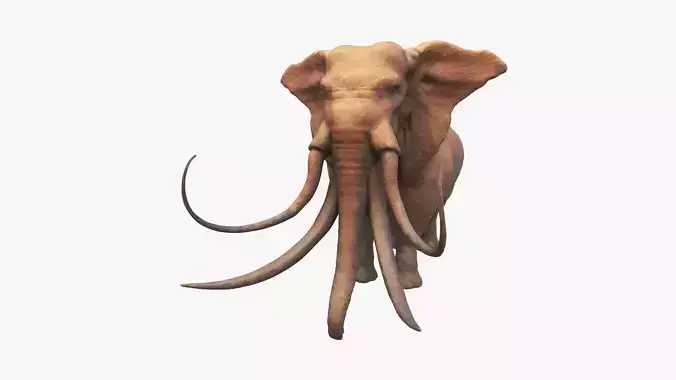 elephant mammoth creature 3d model