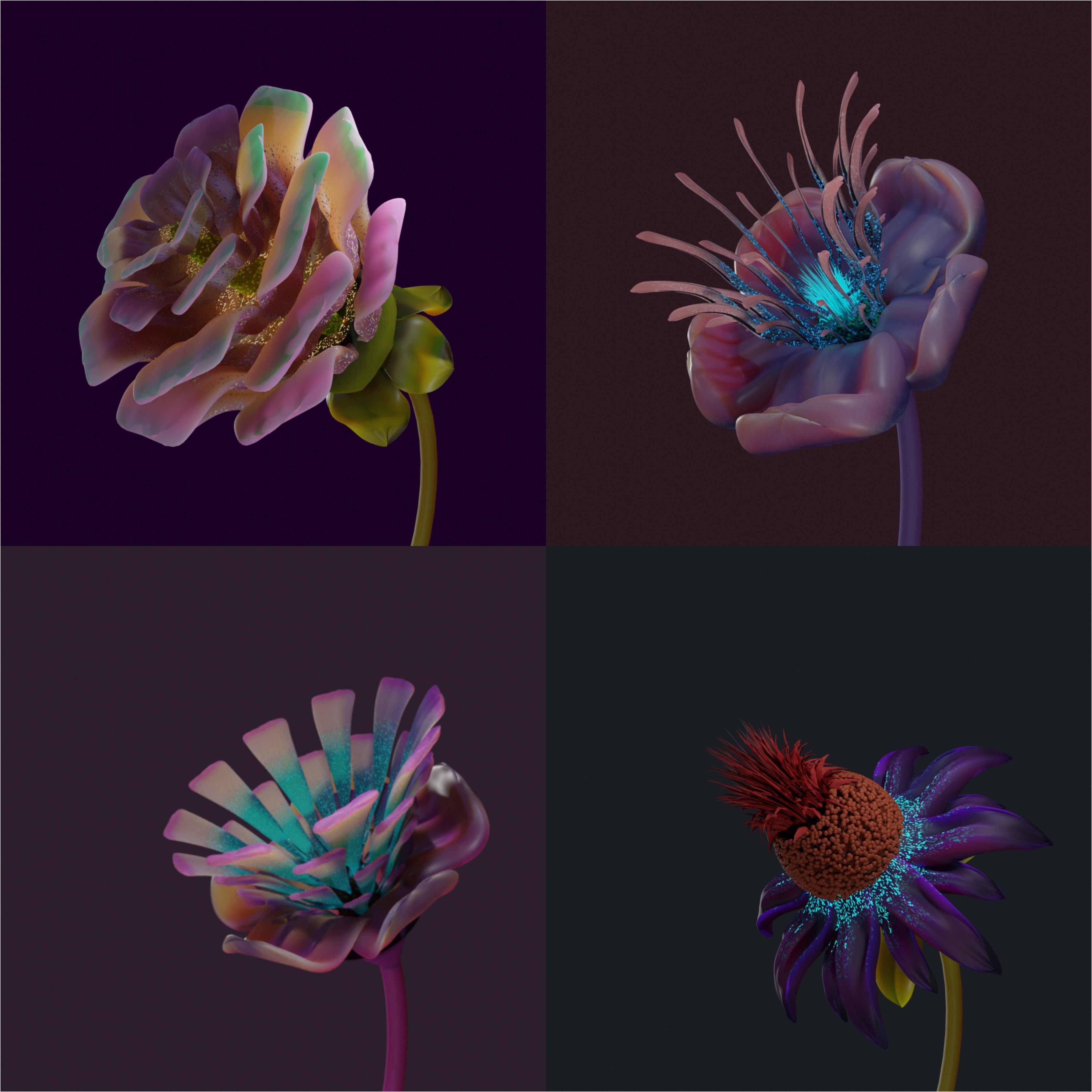 FLOWER CREATOR  3D model_2