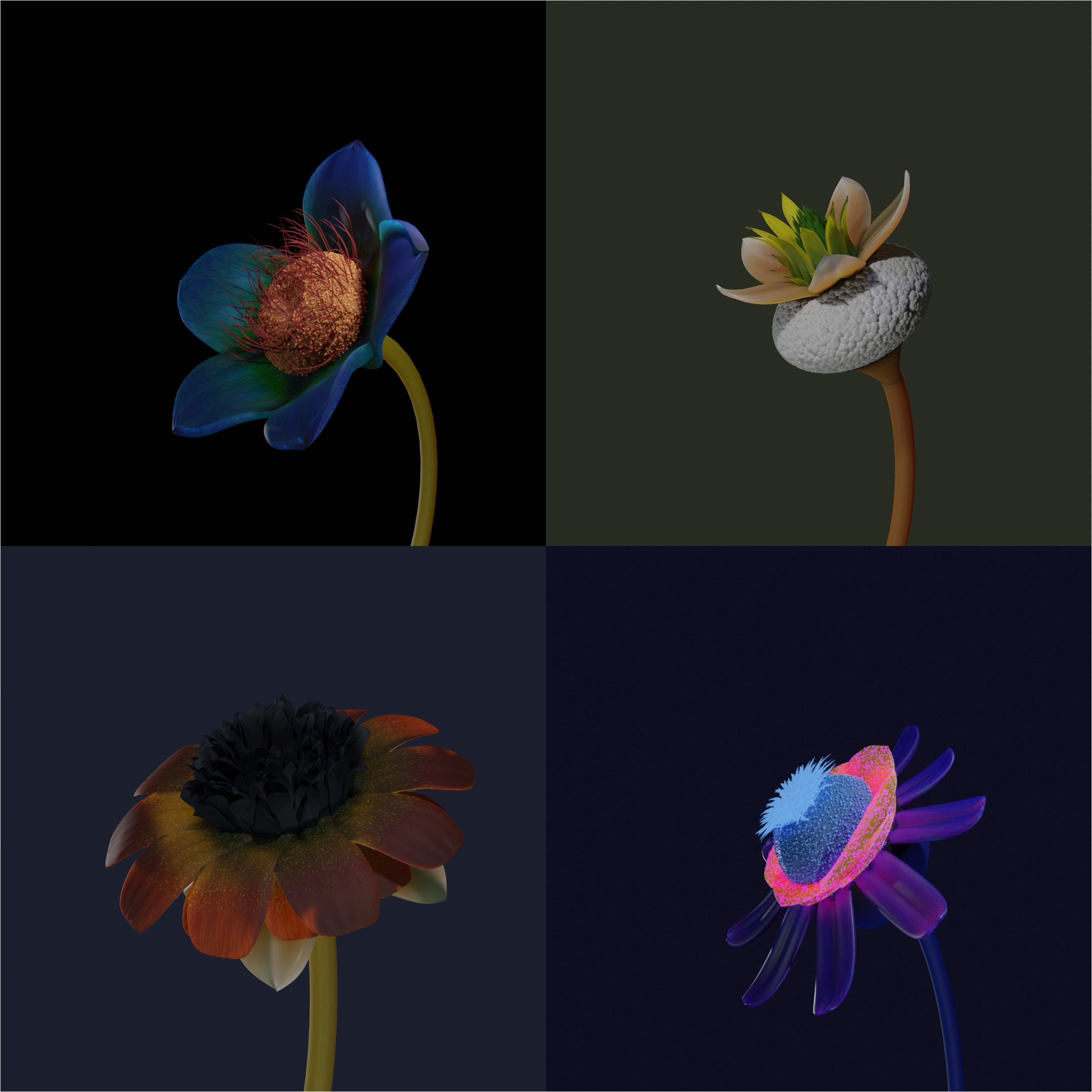 FLOWER CREATOR  3D model_1