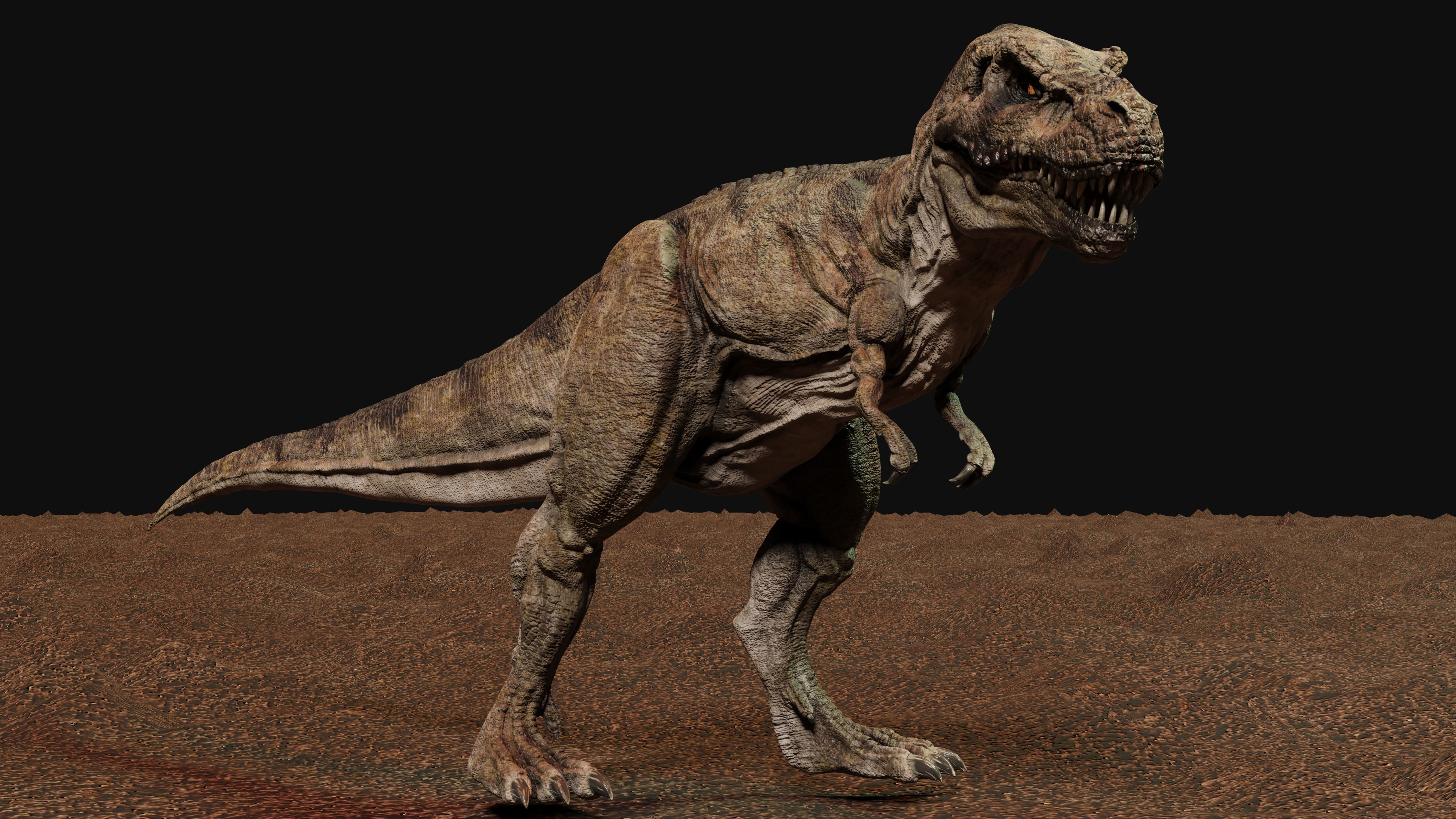 Tyrannosaurus Rex Animated and Rigged Low-poly 3D model_8