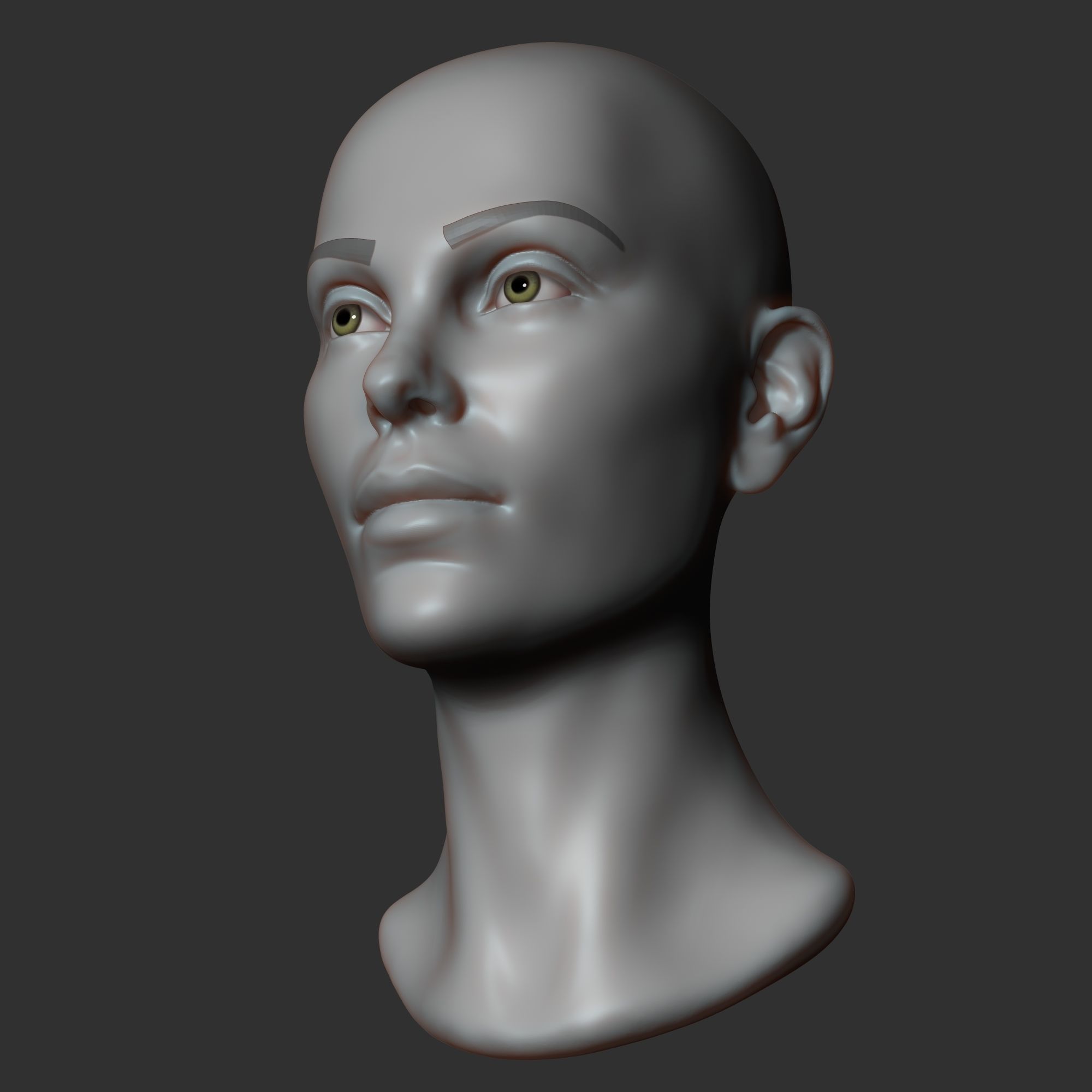 Female head sculpt 2 3D model_7