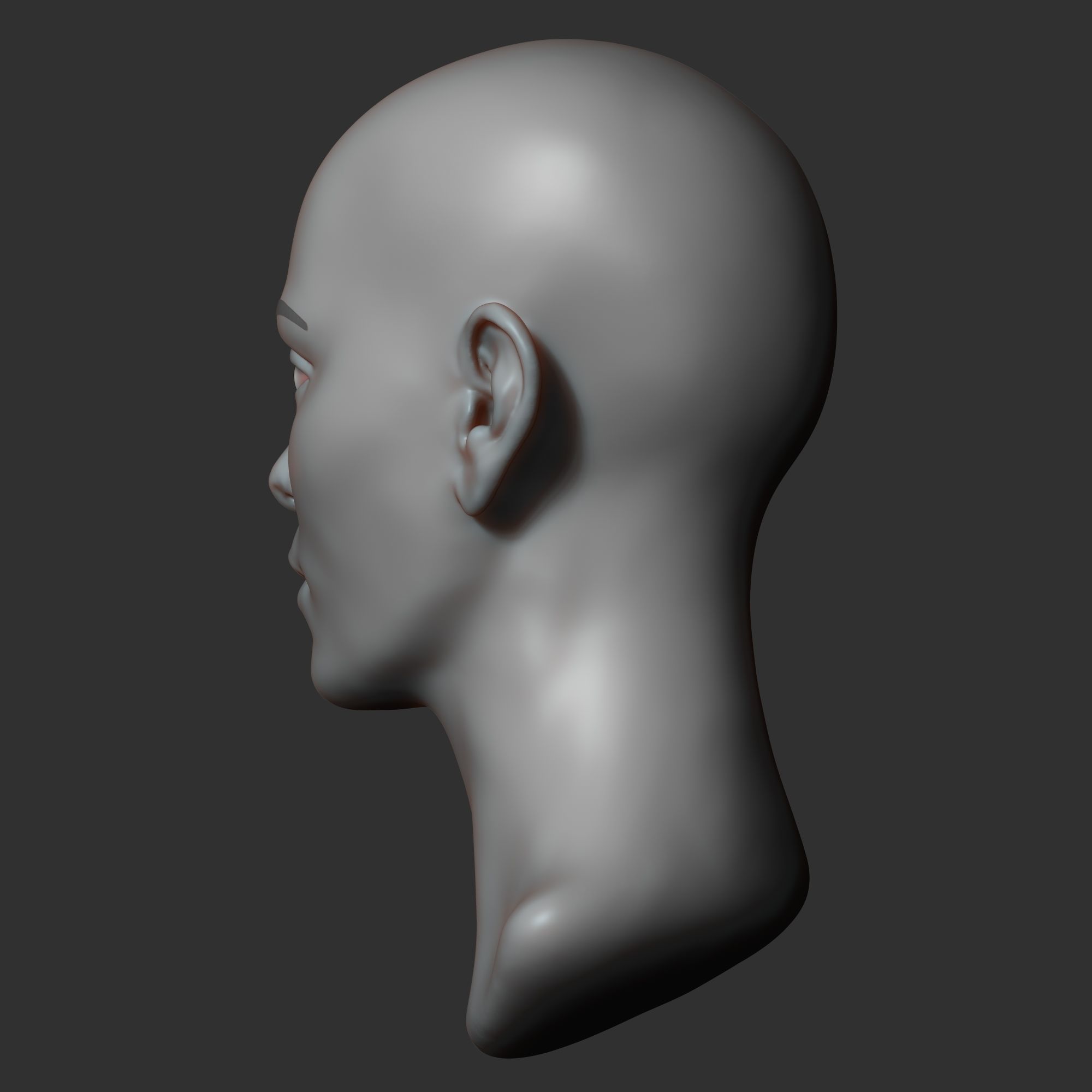 Female head sculpt 2 3D model_4