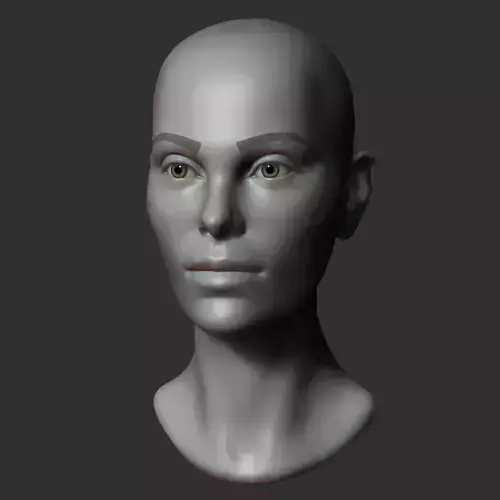 Female head sculpt 2 3D model