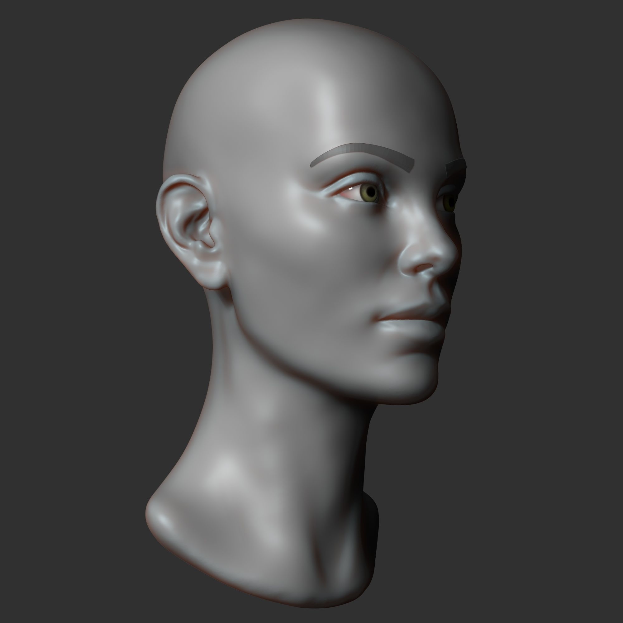 Female head sculpt 2 3D model_12