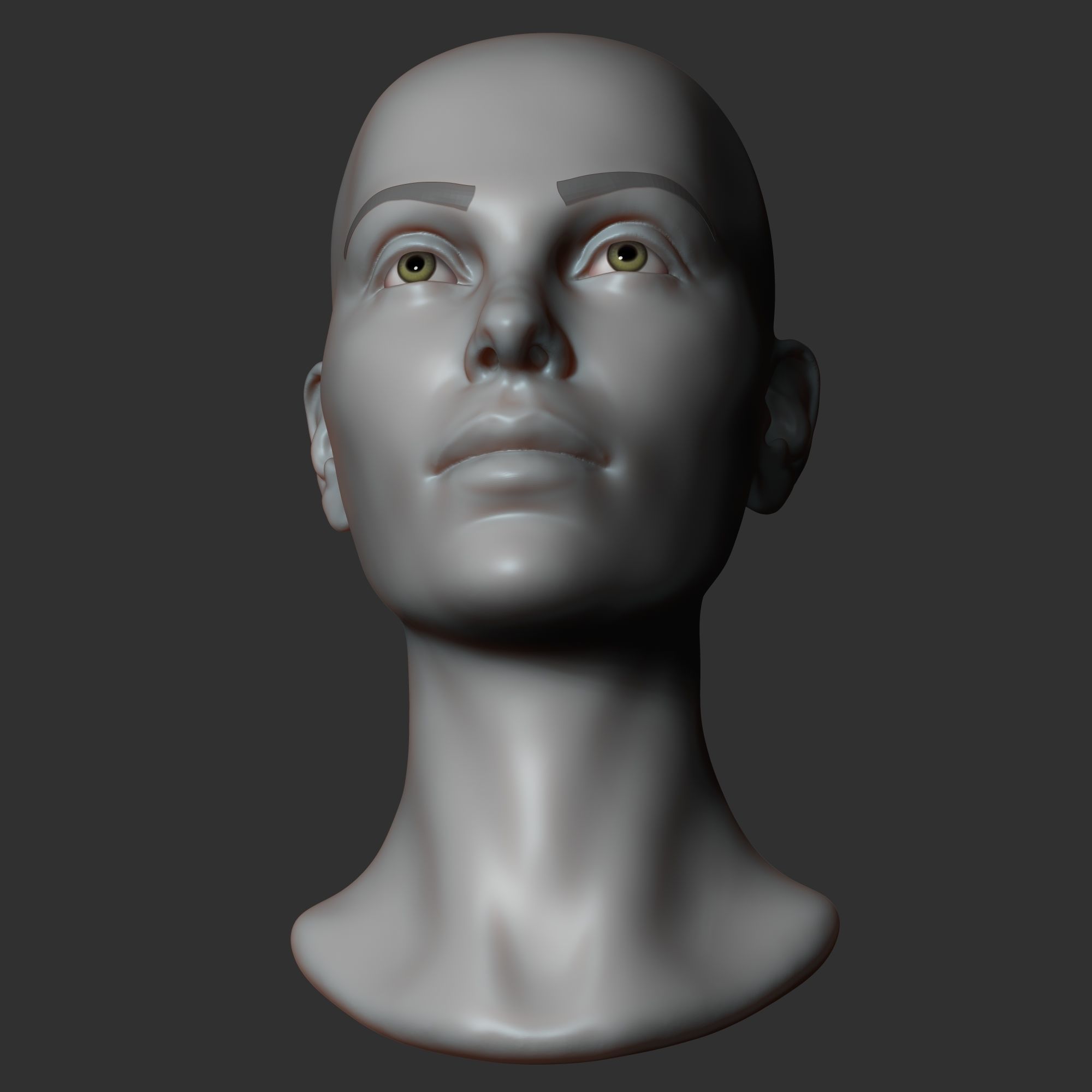 Female head sculpt 2 3D model_6