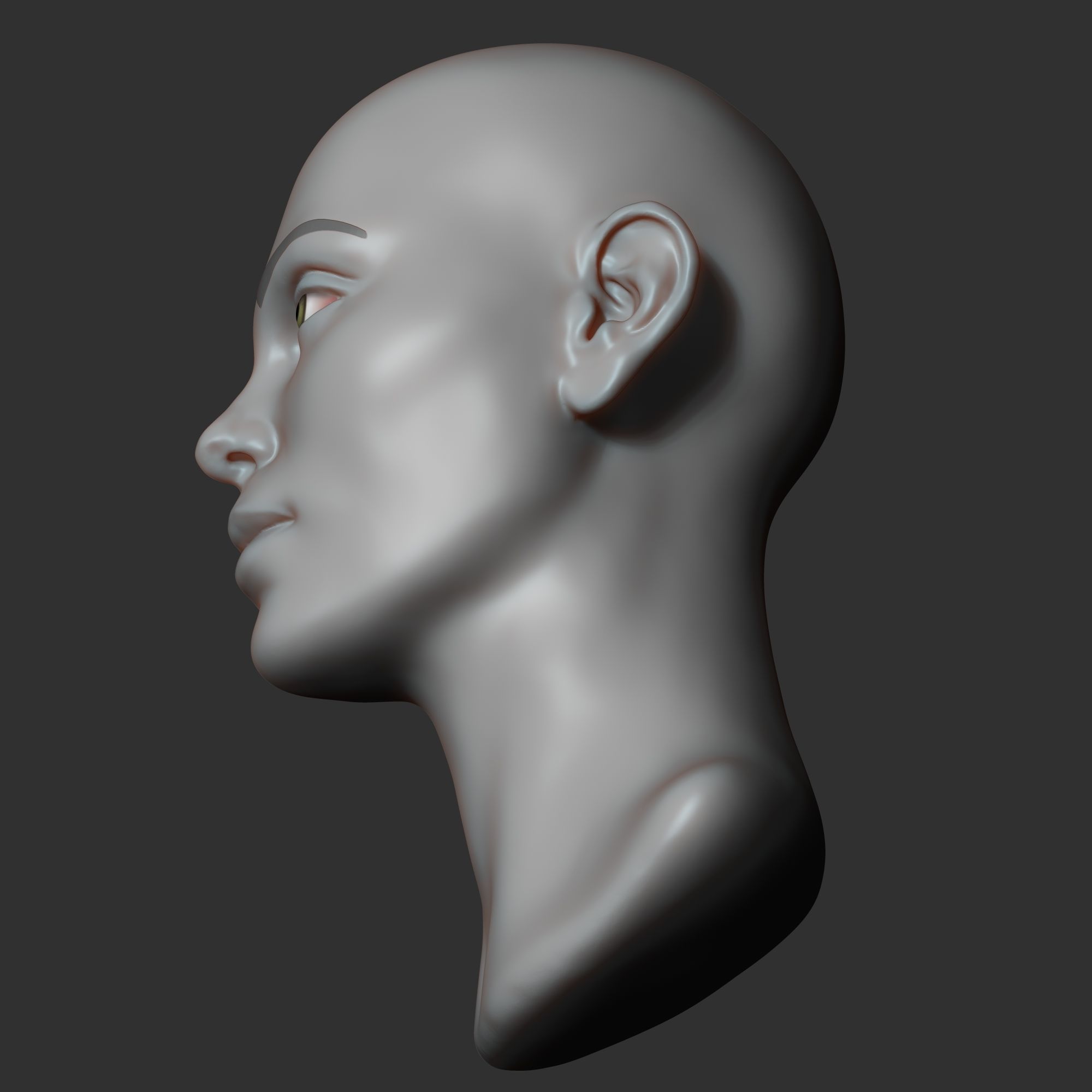 Female head sculpt 2 3D model_8