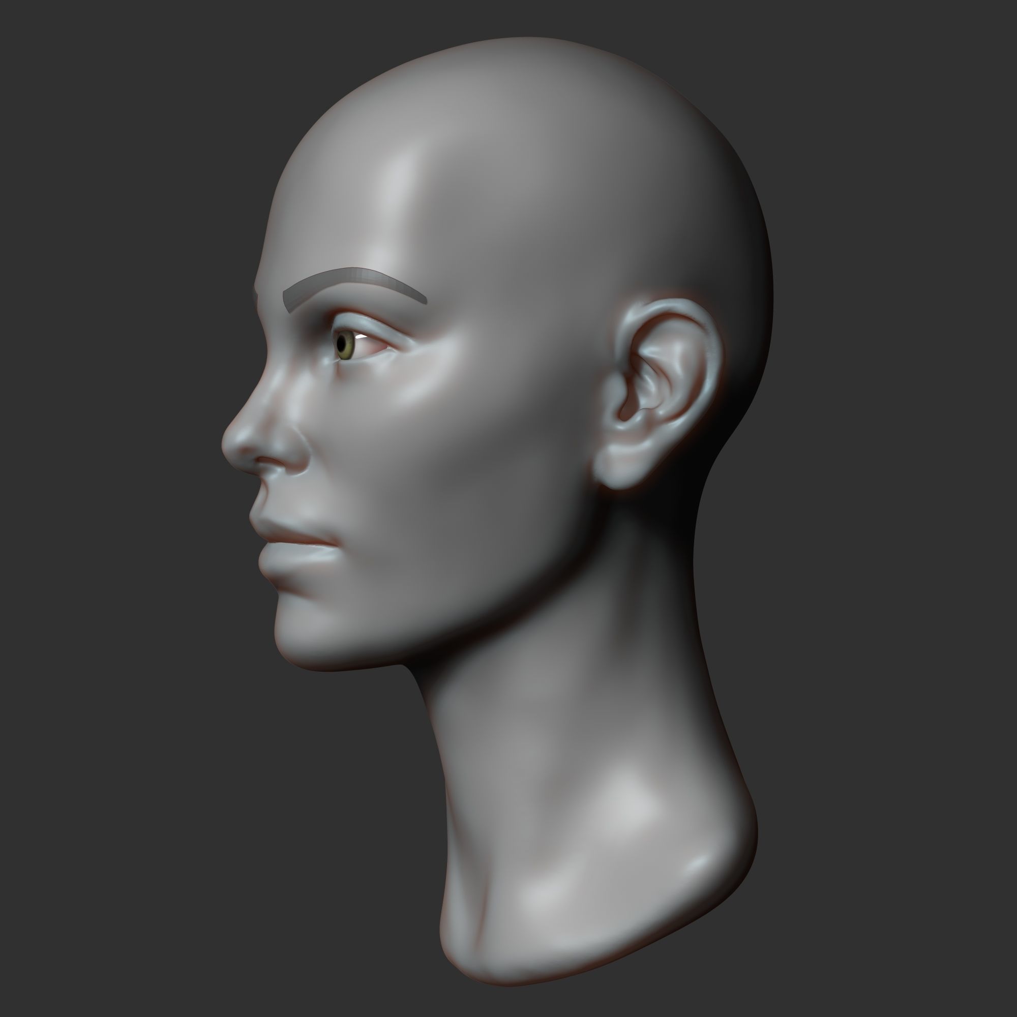 Female head sculpt 2 3D model_3