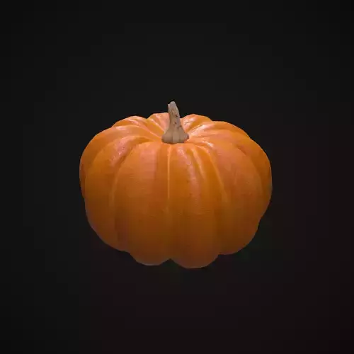 Pumpkin autumn vegetable