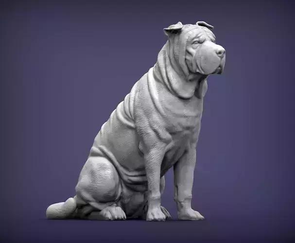 sharpei 3D print model dog 3D print model