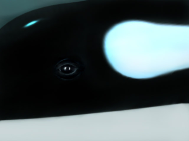 Killer whale 3D model_4