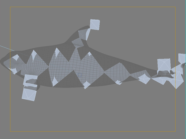 Killer whale 3D model_6