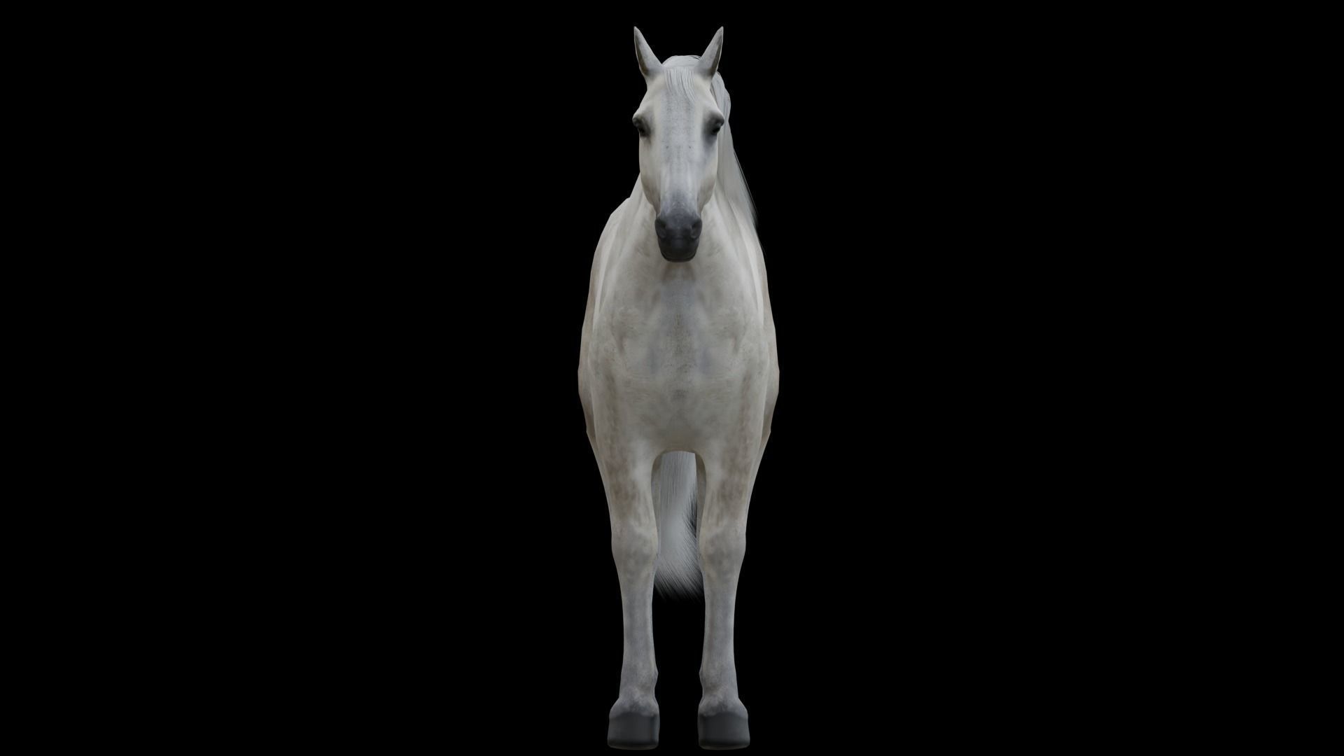 White Horse Low Poly Game-Ready PBR Rigged Animated Low-poly 3D model_7
