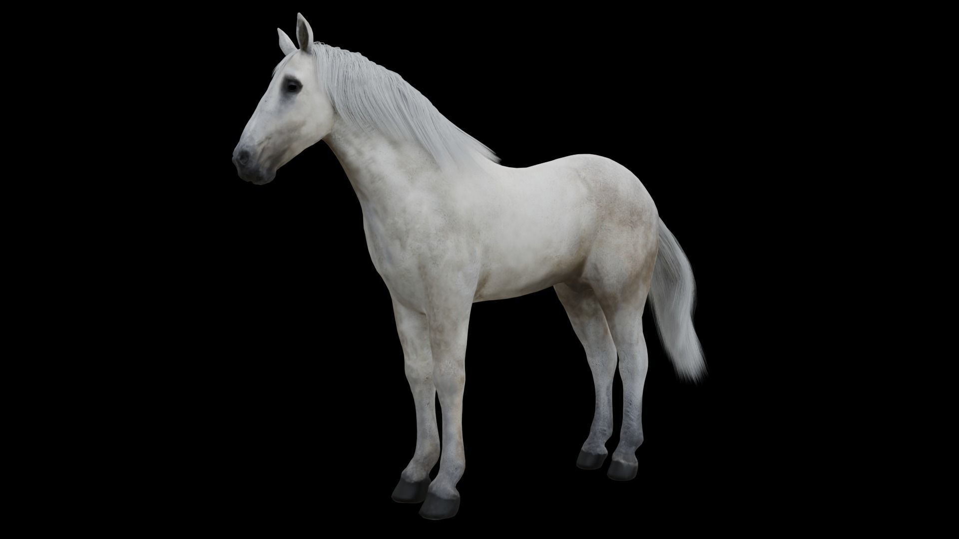White Horse Low Poly Game-Ready PBR Rigged Animated Low-poly 3D model_5