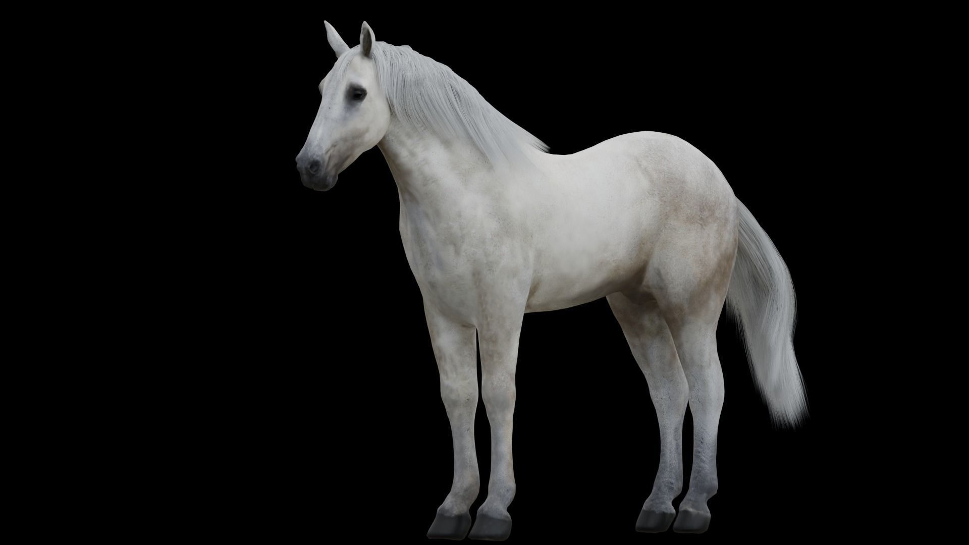 White Horse Low Poly Game-Ready PBR Rigged Animated Low-poly 3D model_3