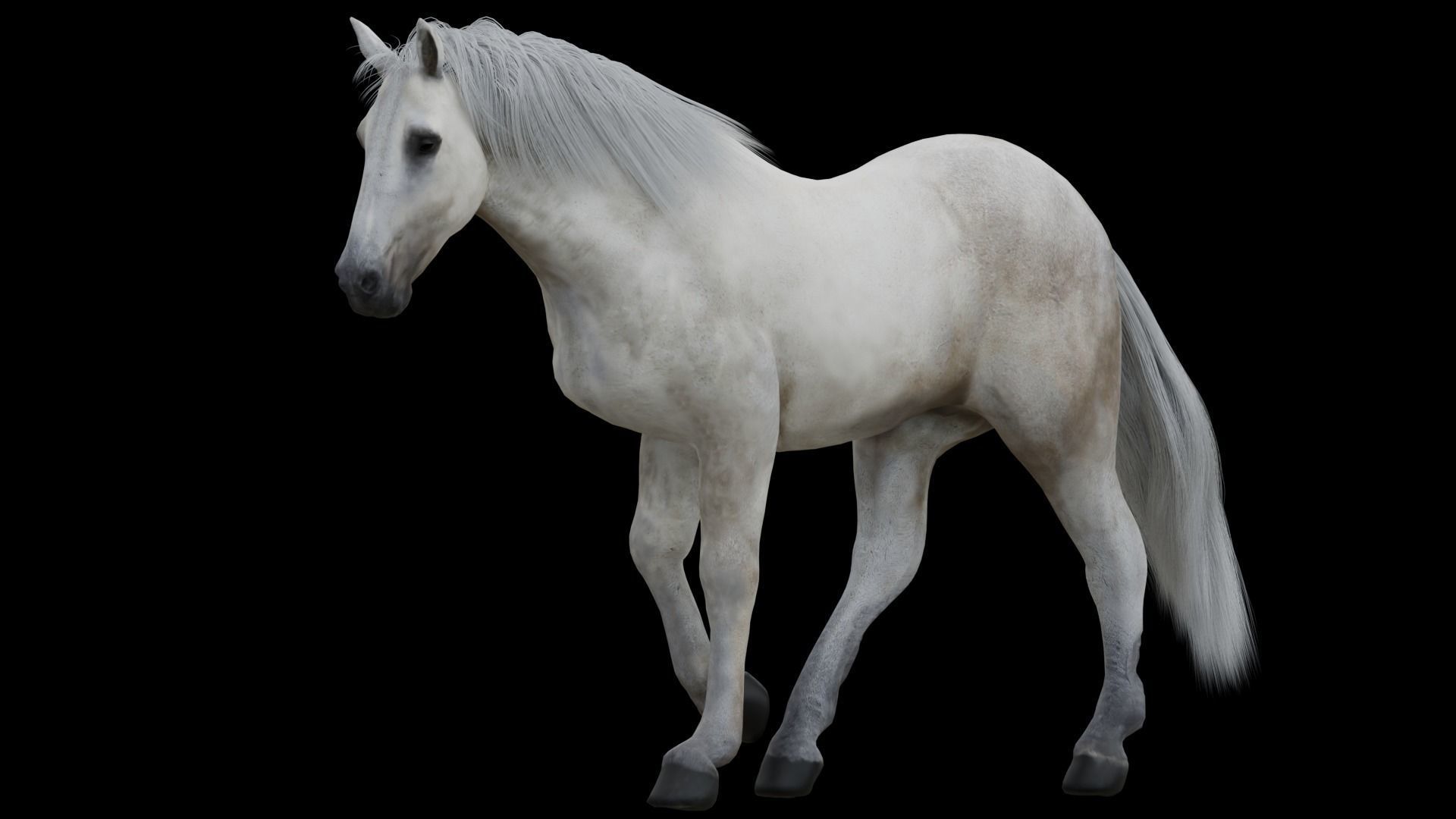 White Horse Low Poly Game-Ready PBR Rigged Animated Low-poly 3D model_4
