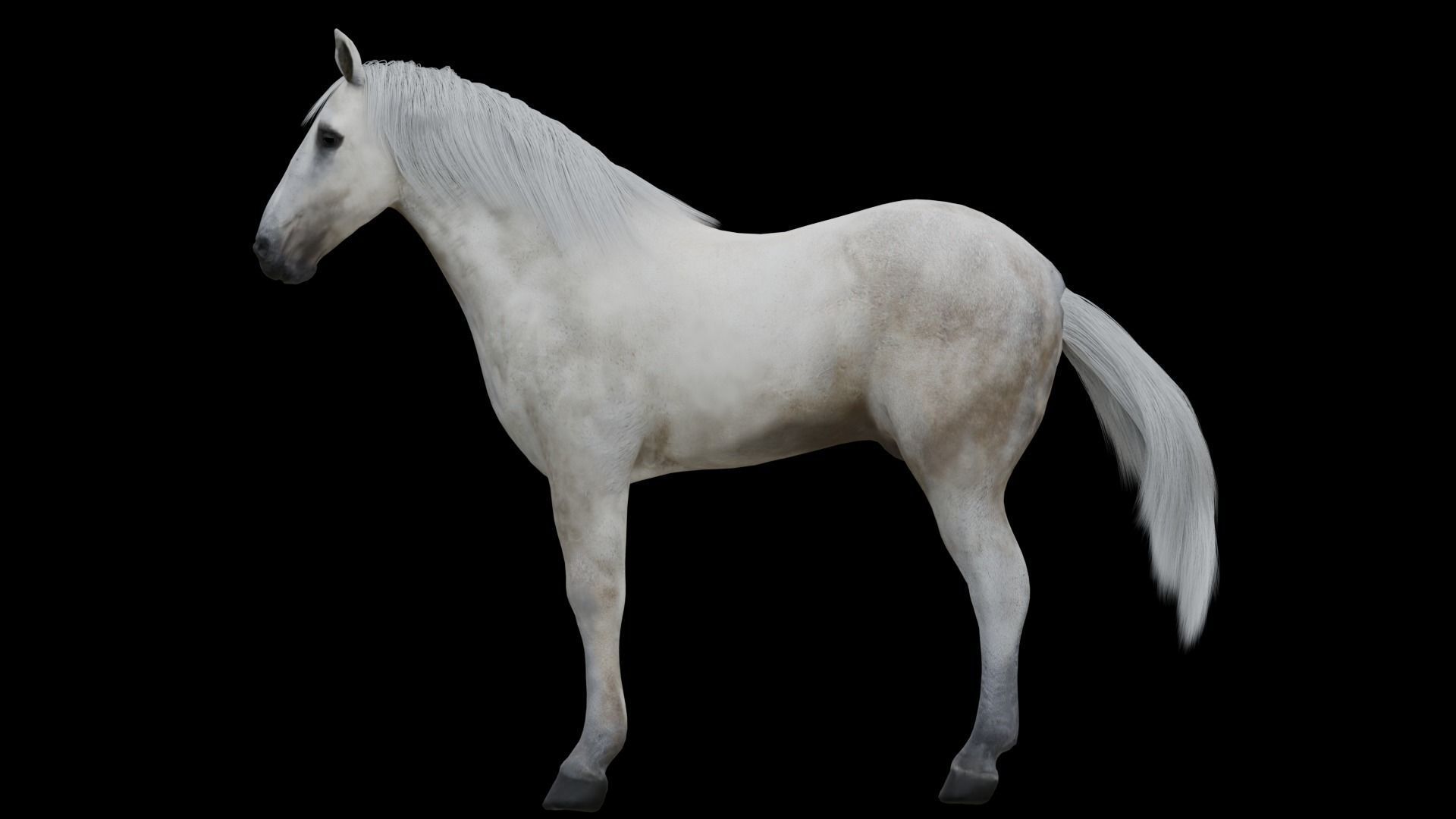 White Horse Low Poly Game-Ready PBR Rigged Animated Low-poly 3D model_6