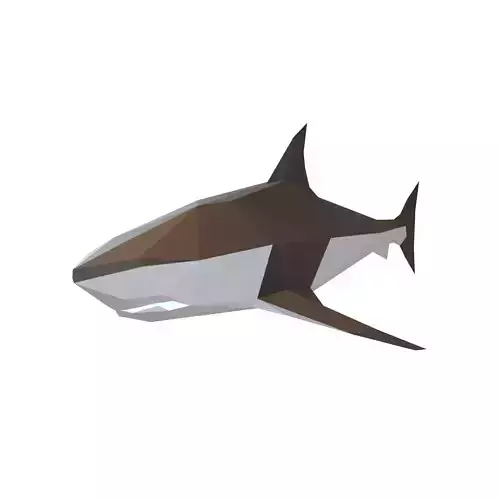 Low Poly Shark v1 003