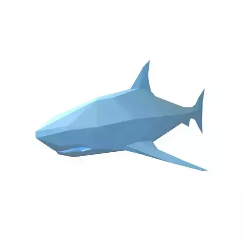Low Poly Shark v1 004