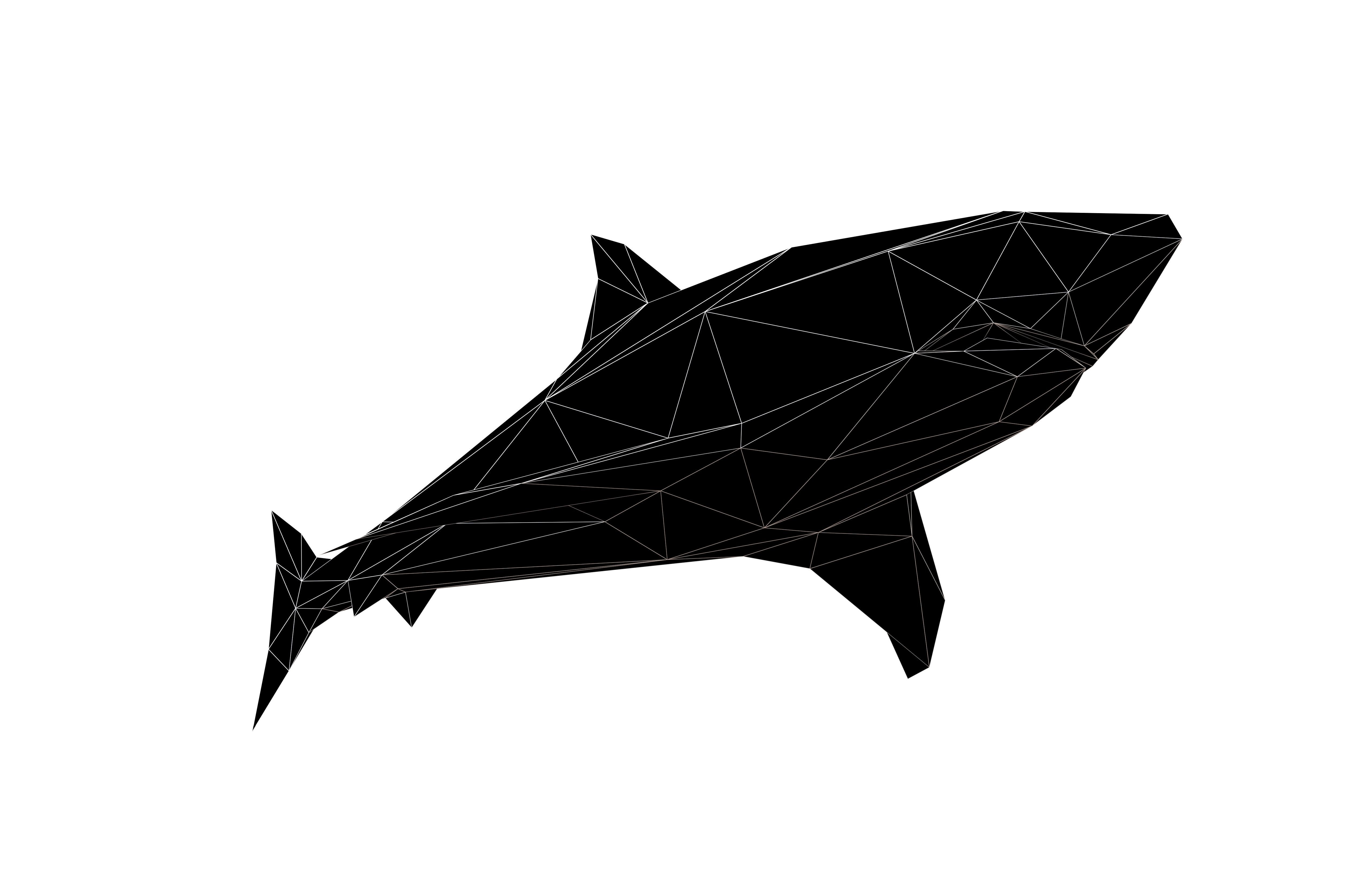 Low Poly Shark v1 005 Low-poly 3D model_5