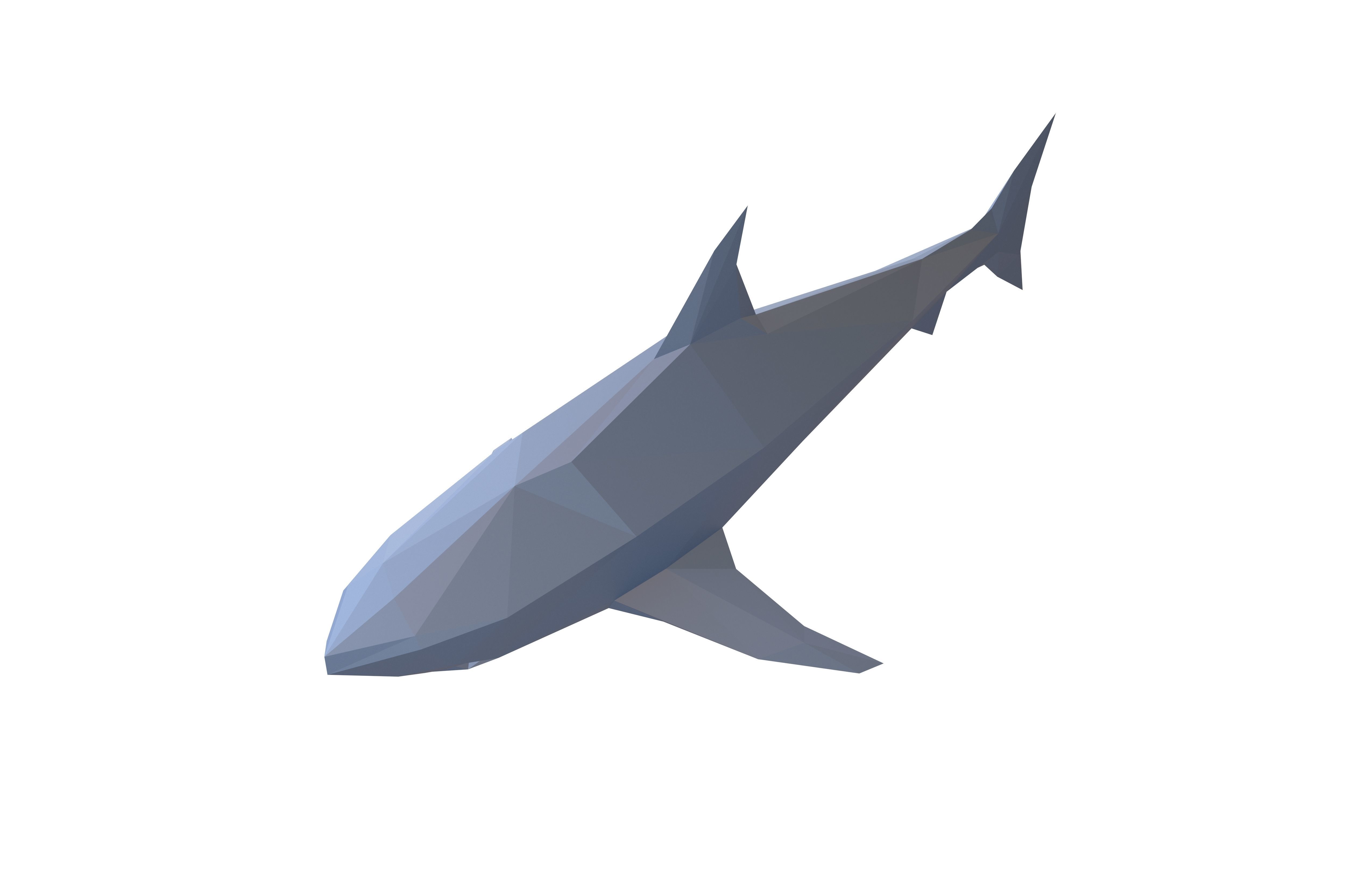 Low Poly Shark v1 005 Low-poly 3D model_2