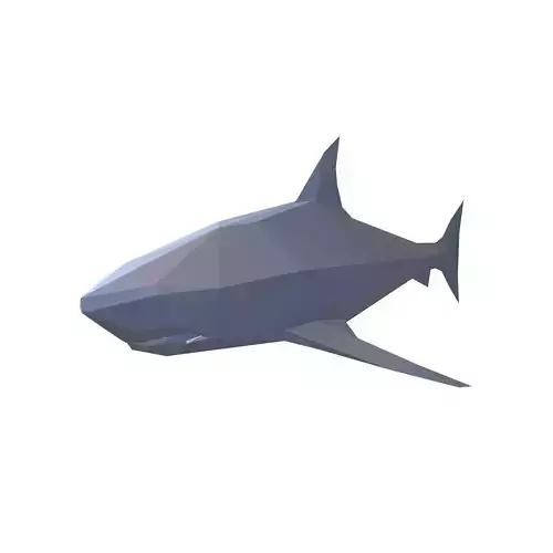 Low Poly Shark v1 005