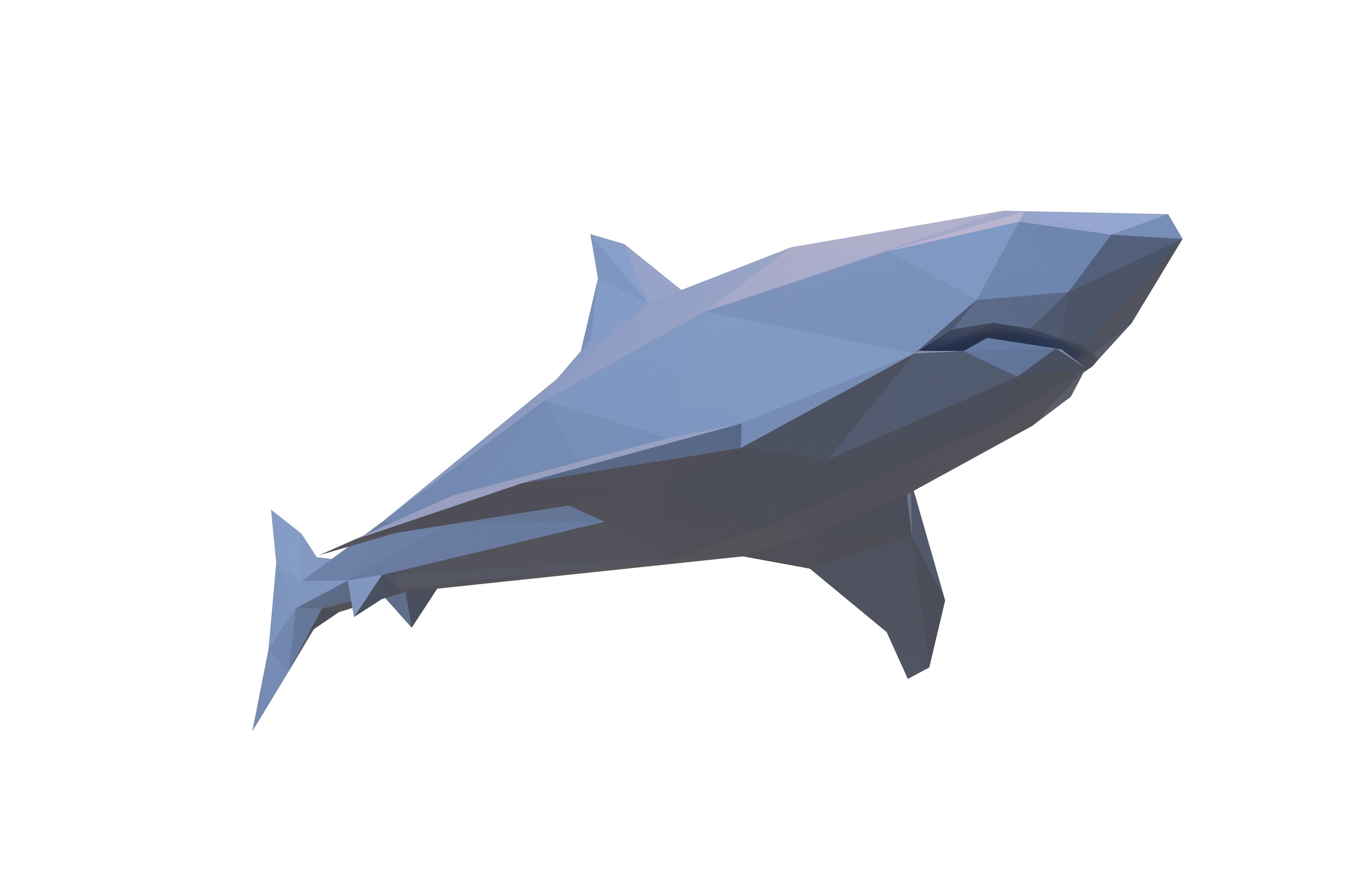 Low Poly Shark v1 005 Low-poly 3D model_3
