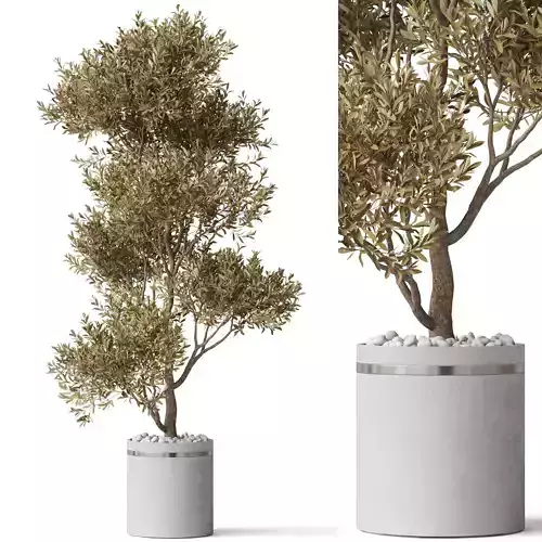 Plants collection 788