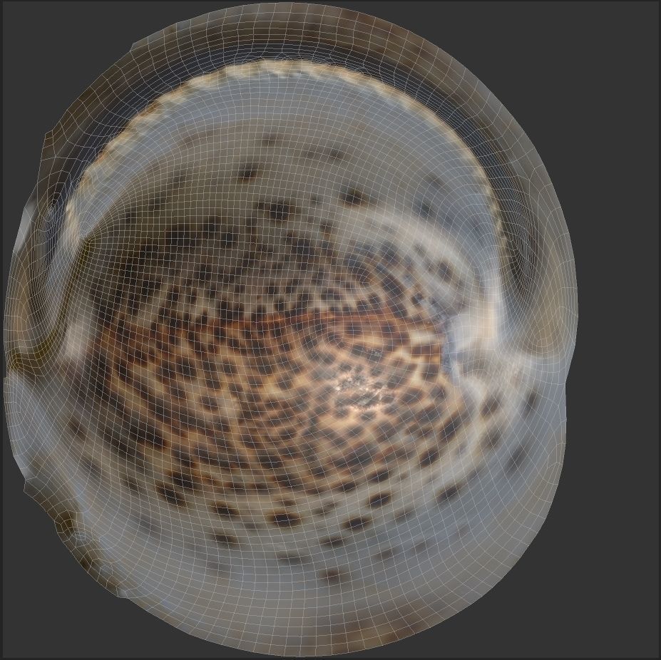 Sea Shell Low-poly 3D model_5