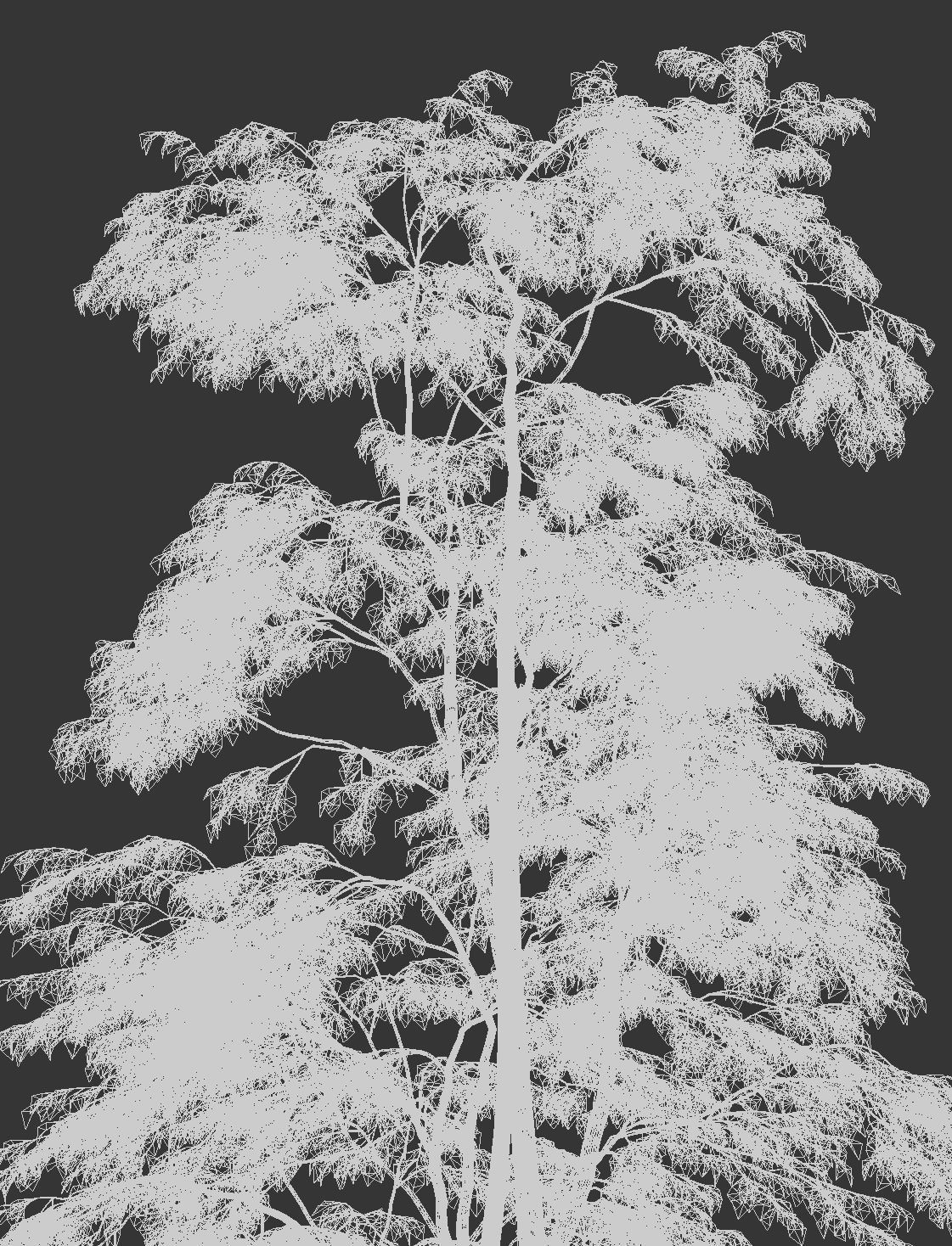 Maple Tree - Acer Rubrum Pack 3D model_14