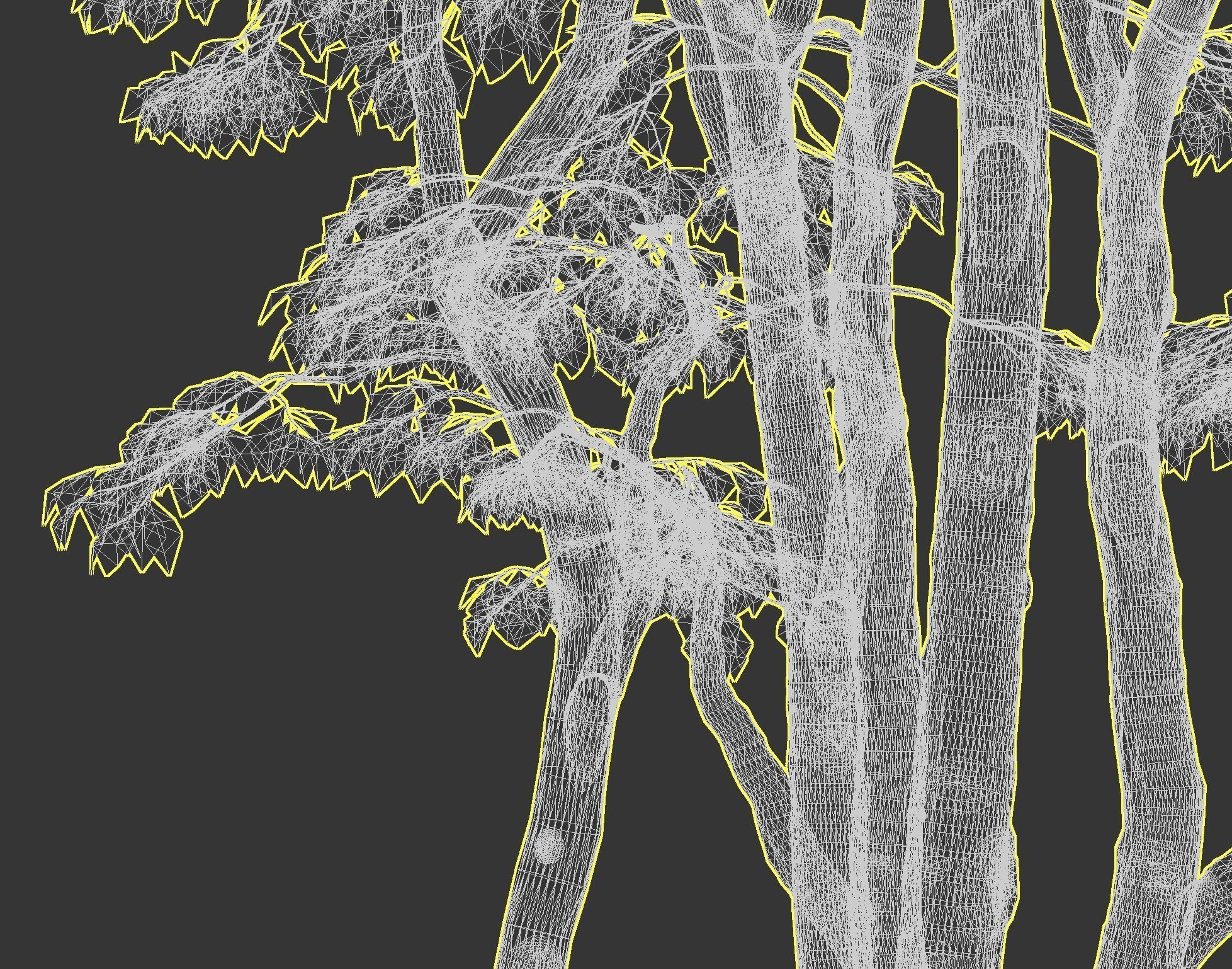Maple Tree - Acer Rubrum Pack 3D model_15