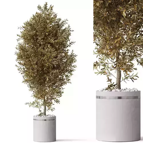 Plants collection 789