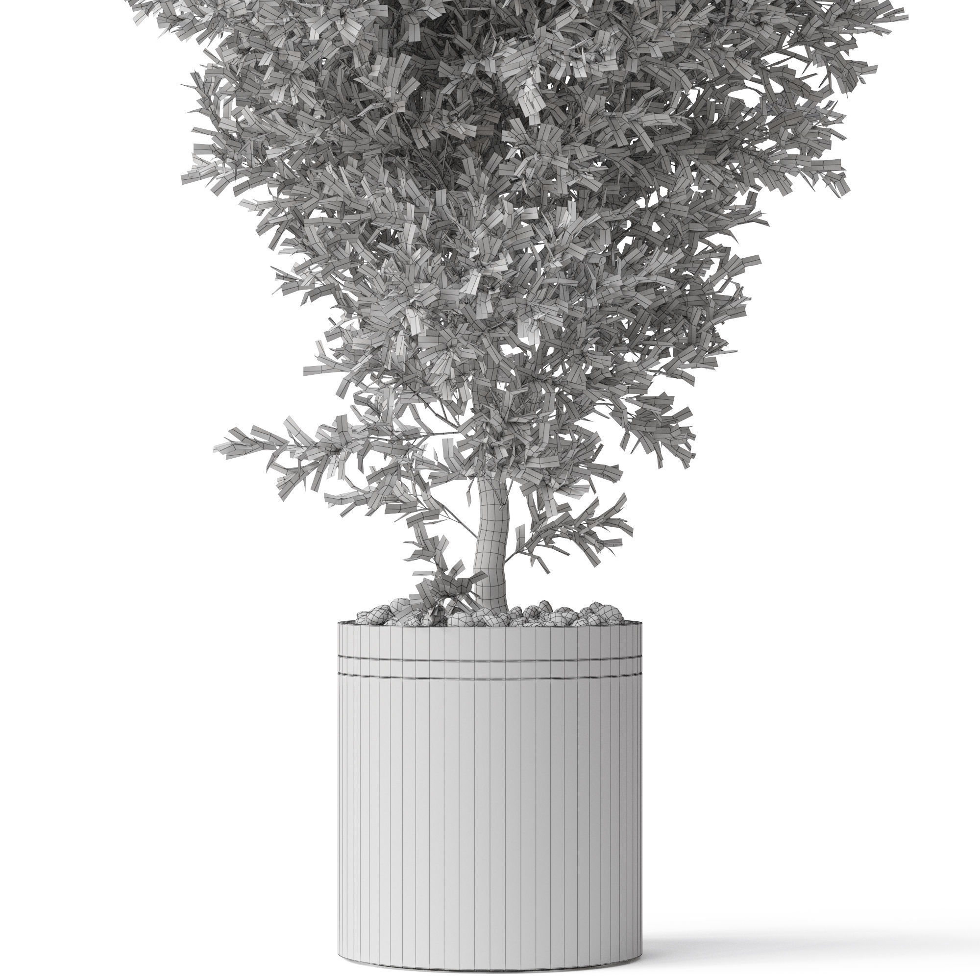 Plants collection 789 3D model | CGTrader