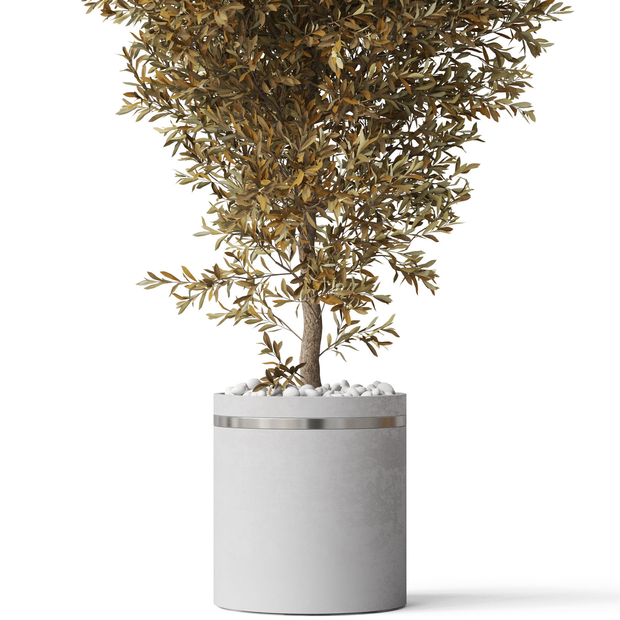 Plants collection 789 3D model | CGTrader