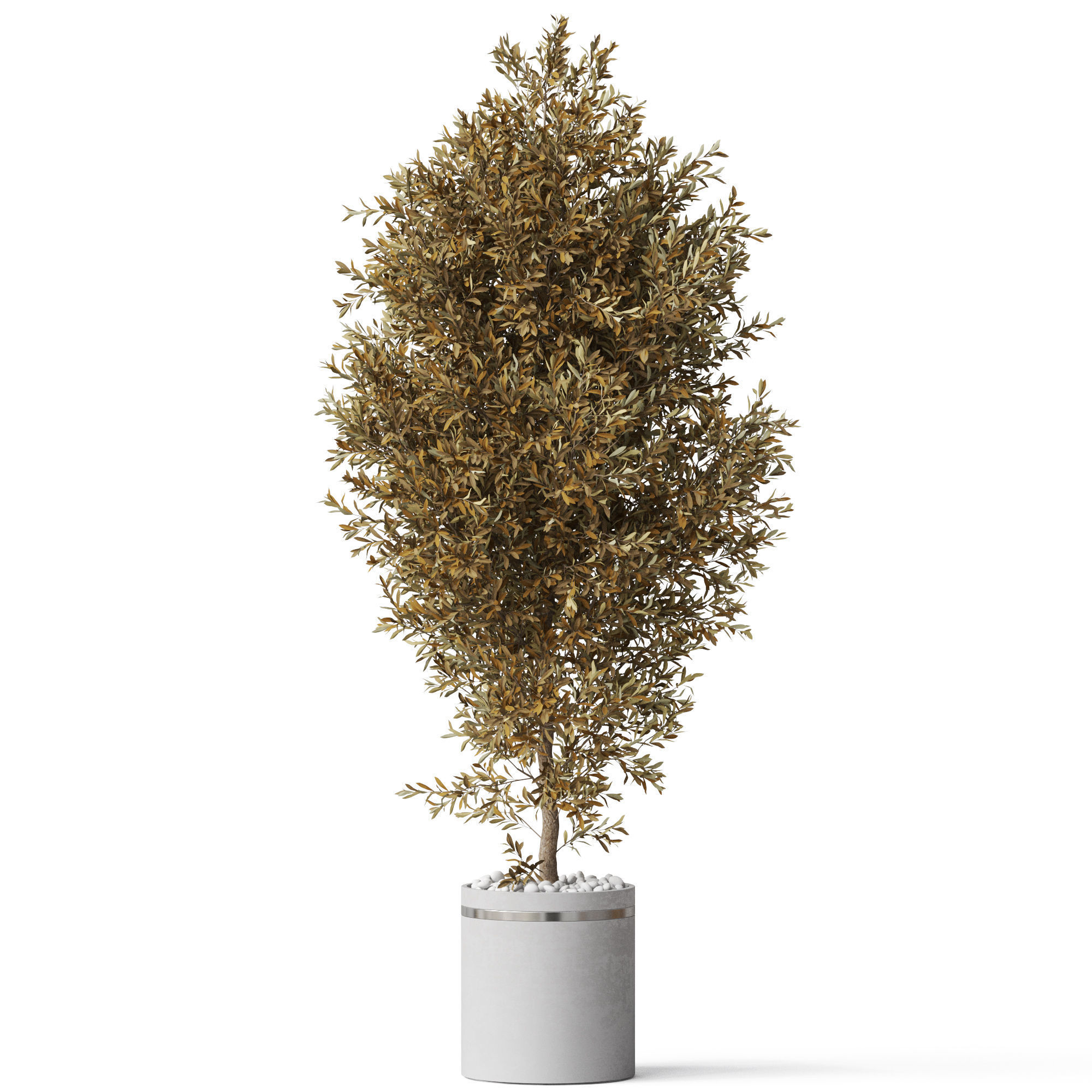 Plants collection 789 3D model | CGTrader