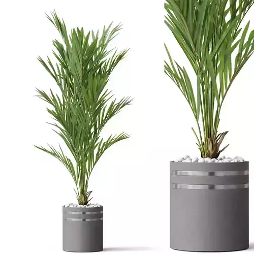 Plants collection 791