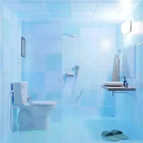 Bathroom Interior
