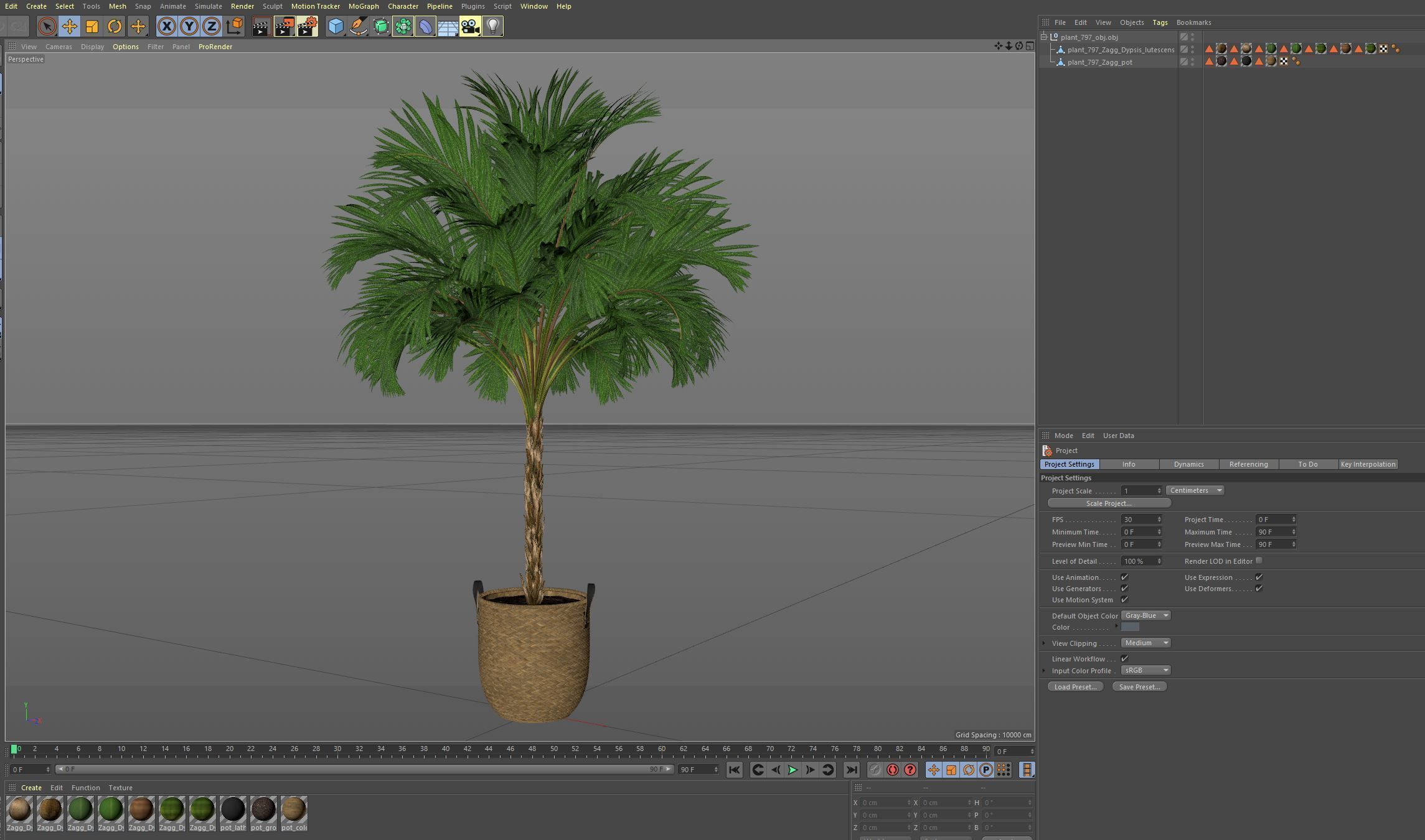 Plants collection 797 3D model_7