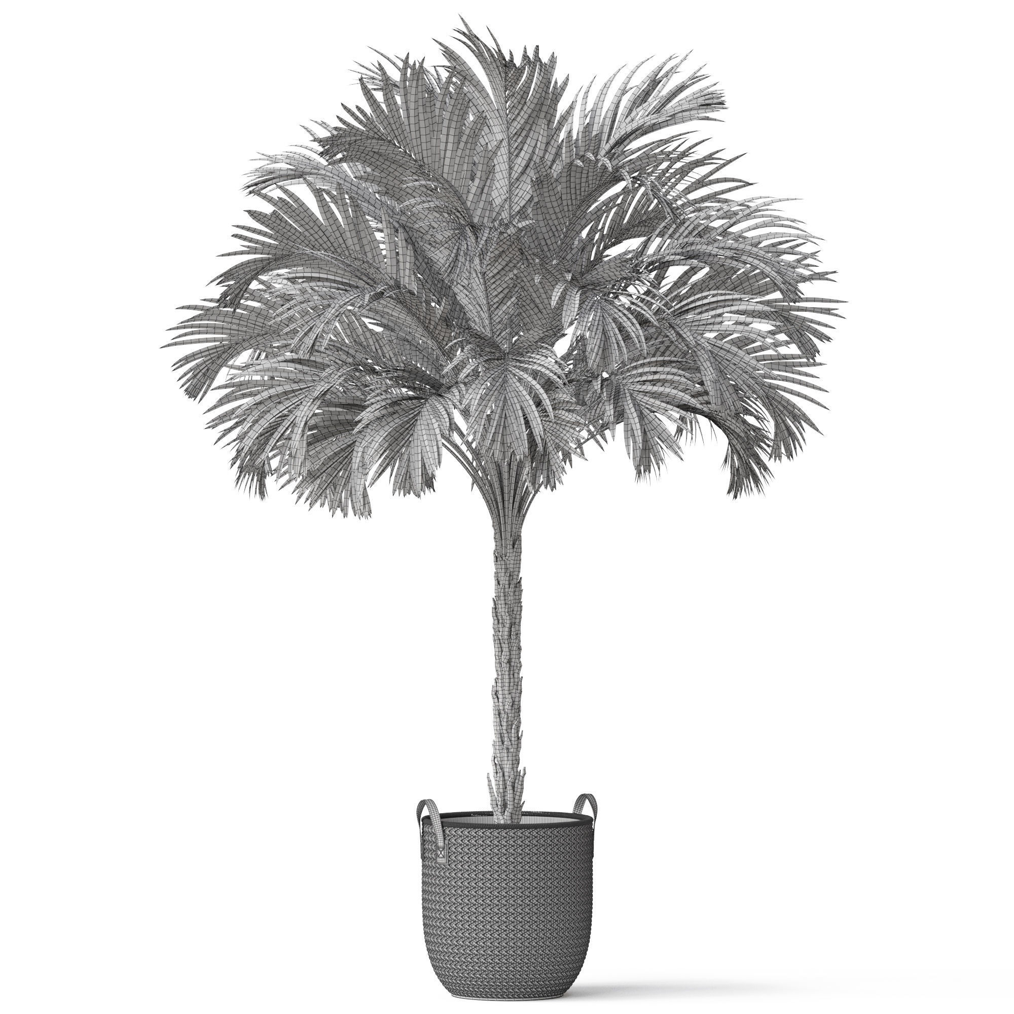 Plants collection 797 3D model_4