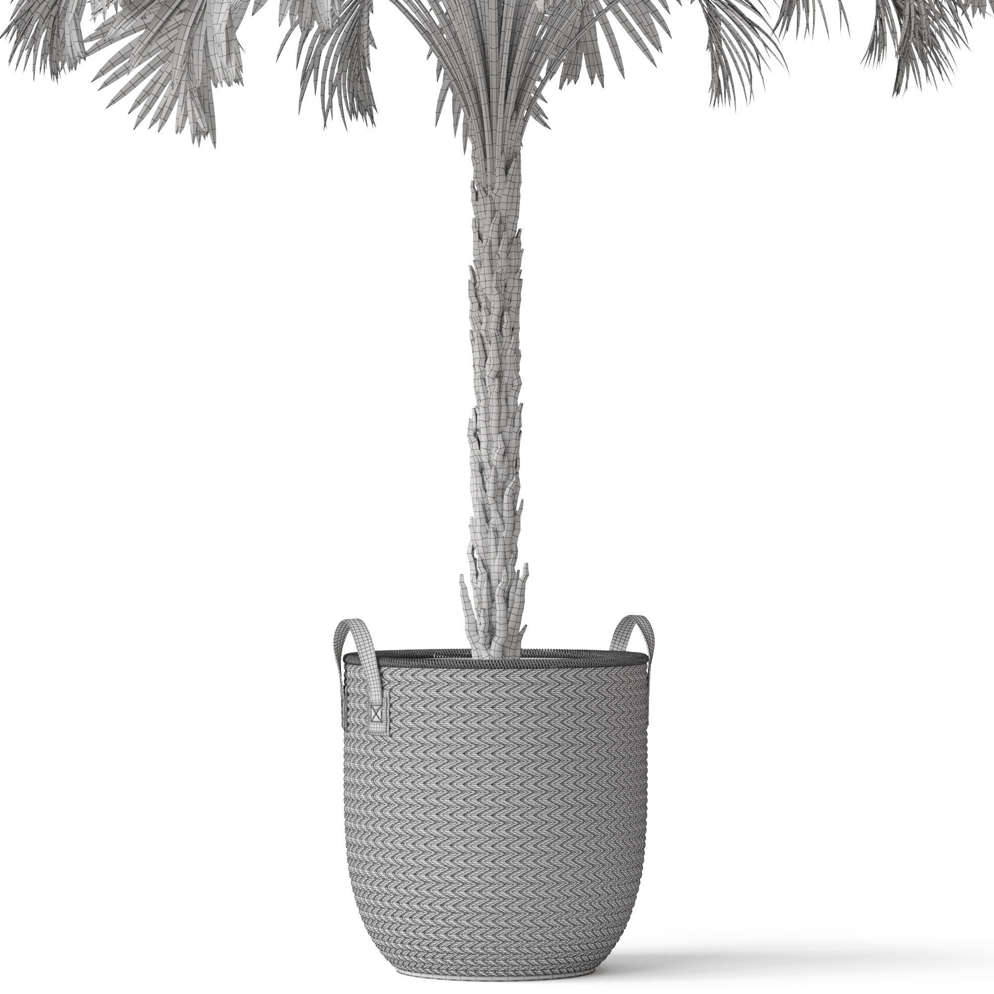 Plants collection 797 3D model_5