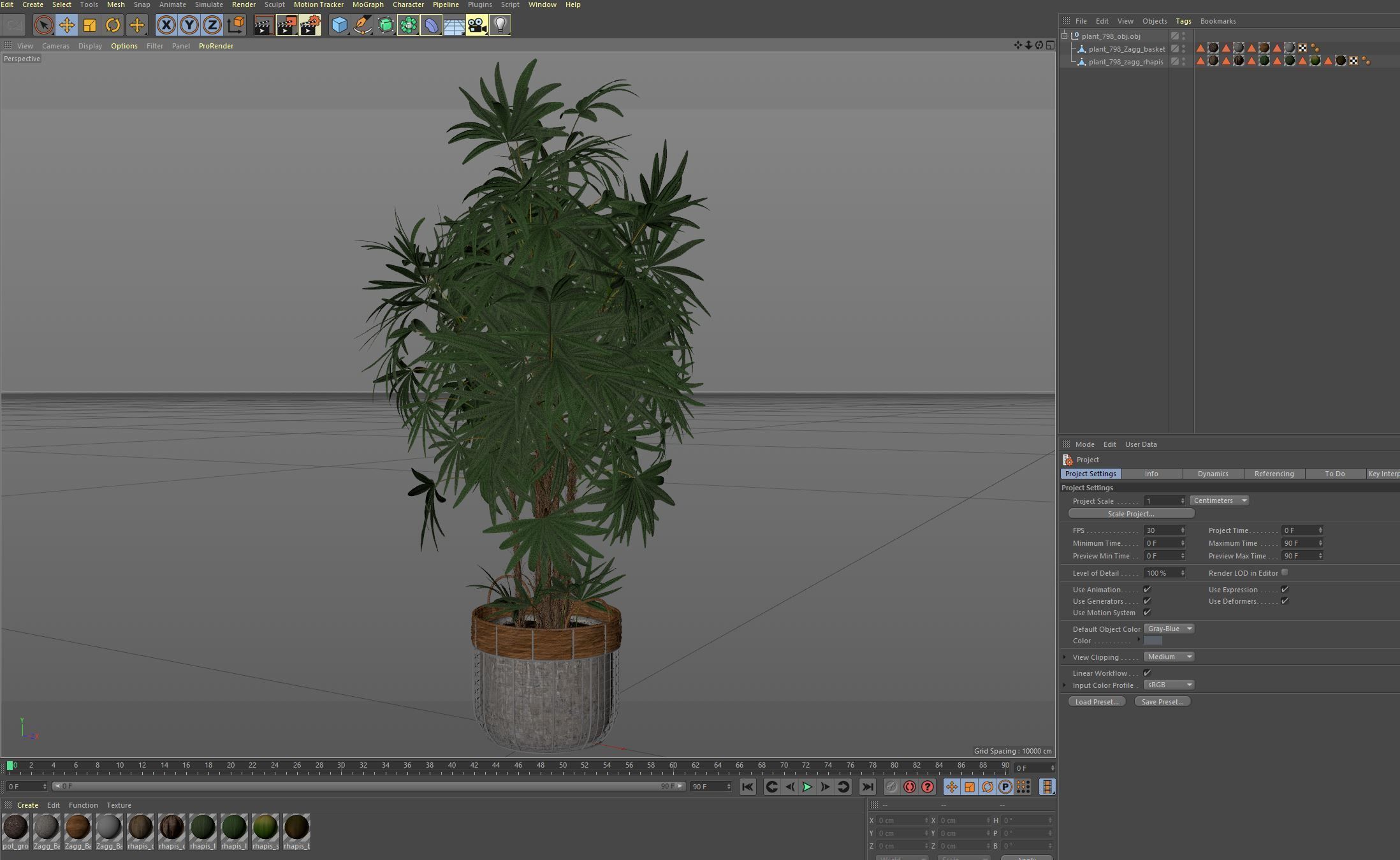 Plants collection 798 3D model_7