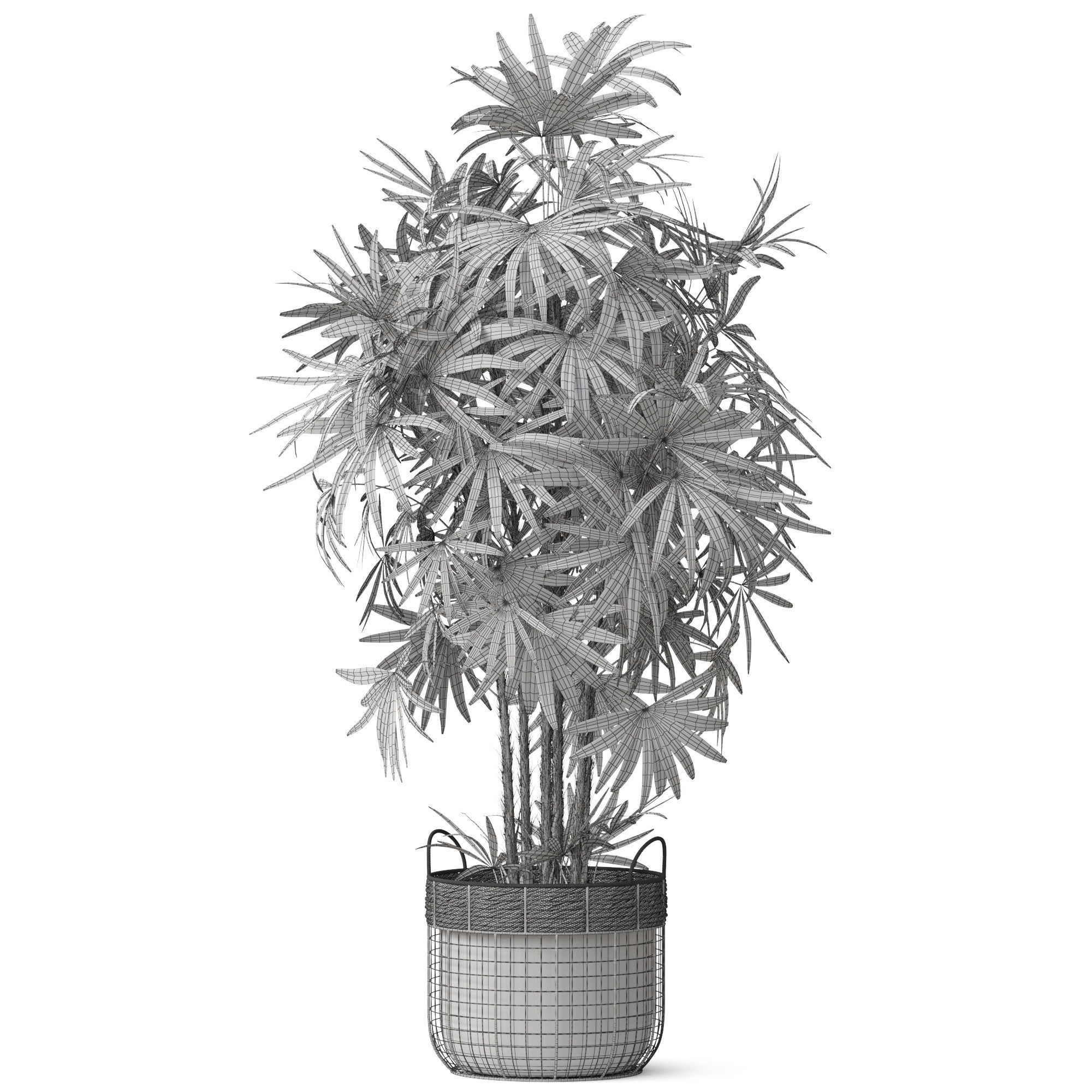 Plants collection 798 3D model_4