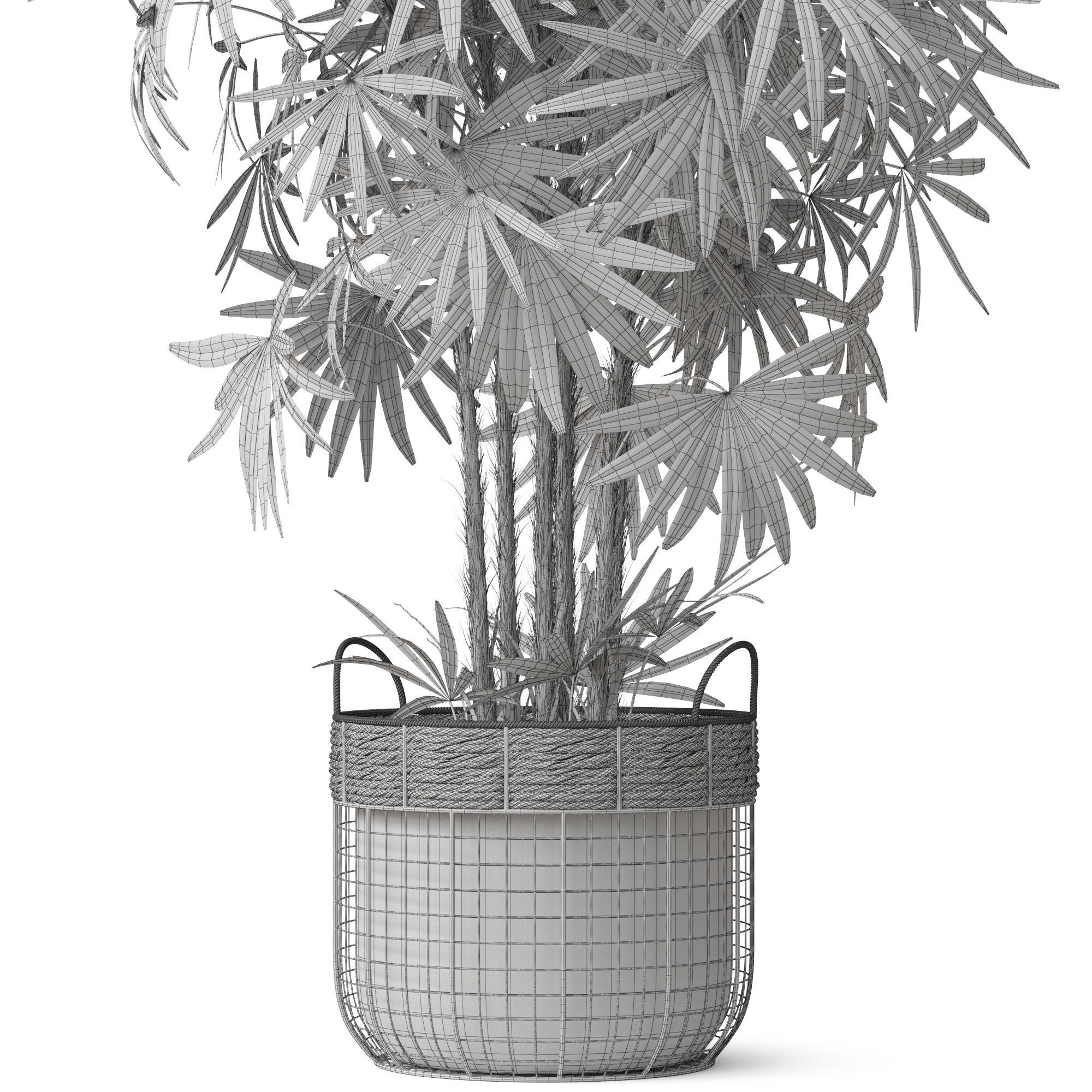 Plants collection 798 3D model_5