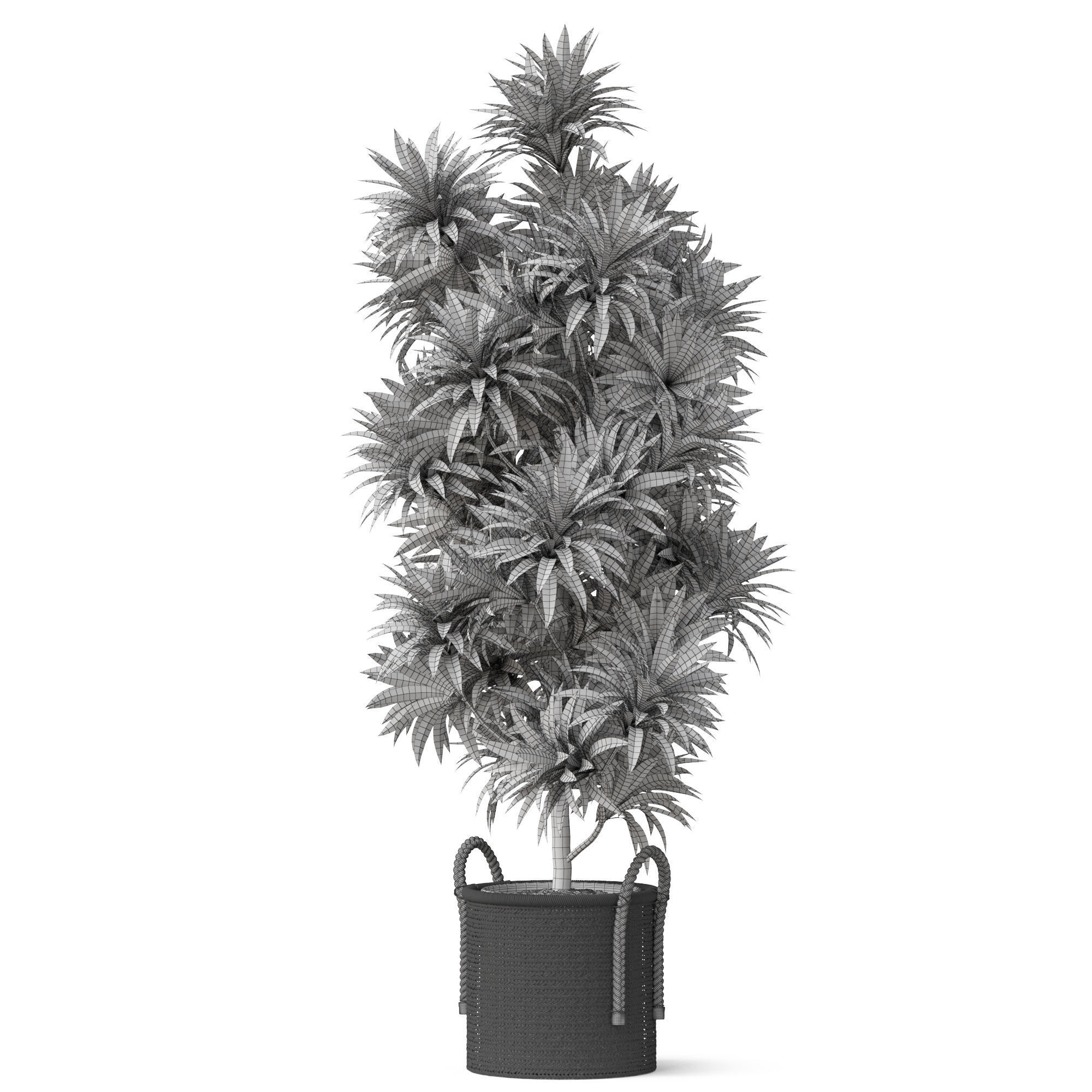 Plants collection 803 3D model_4