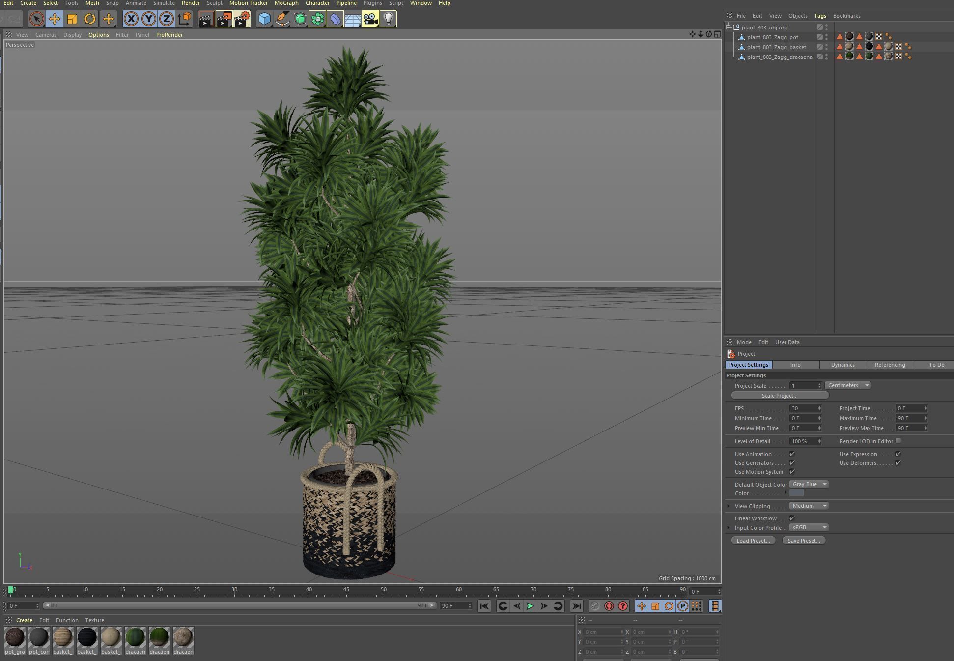 Plants collection 803 3D model_7