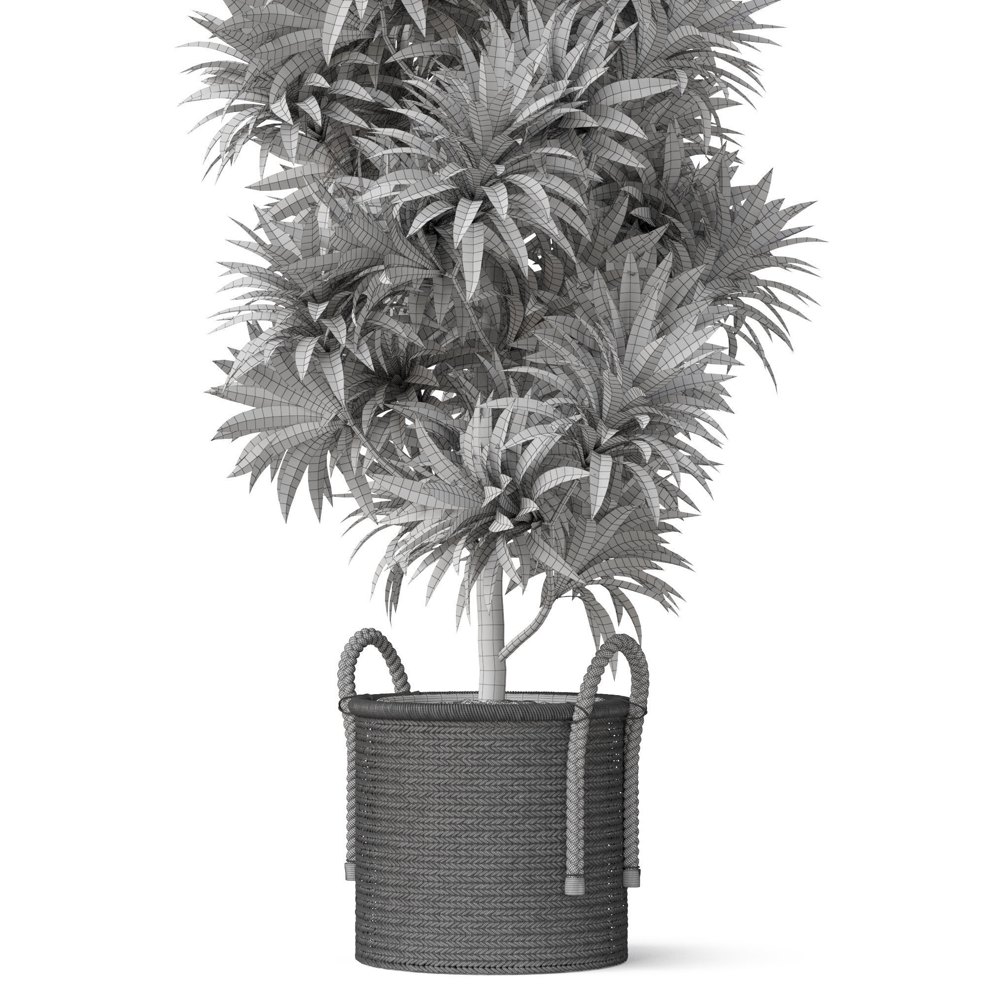 Plants collection 803 3D model_5