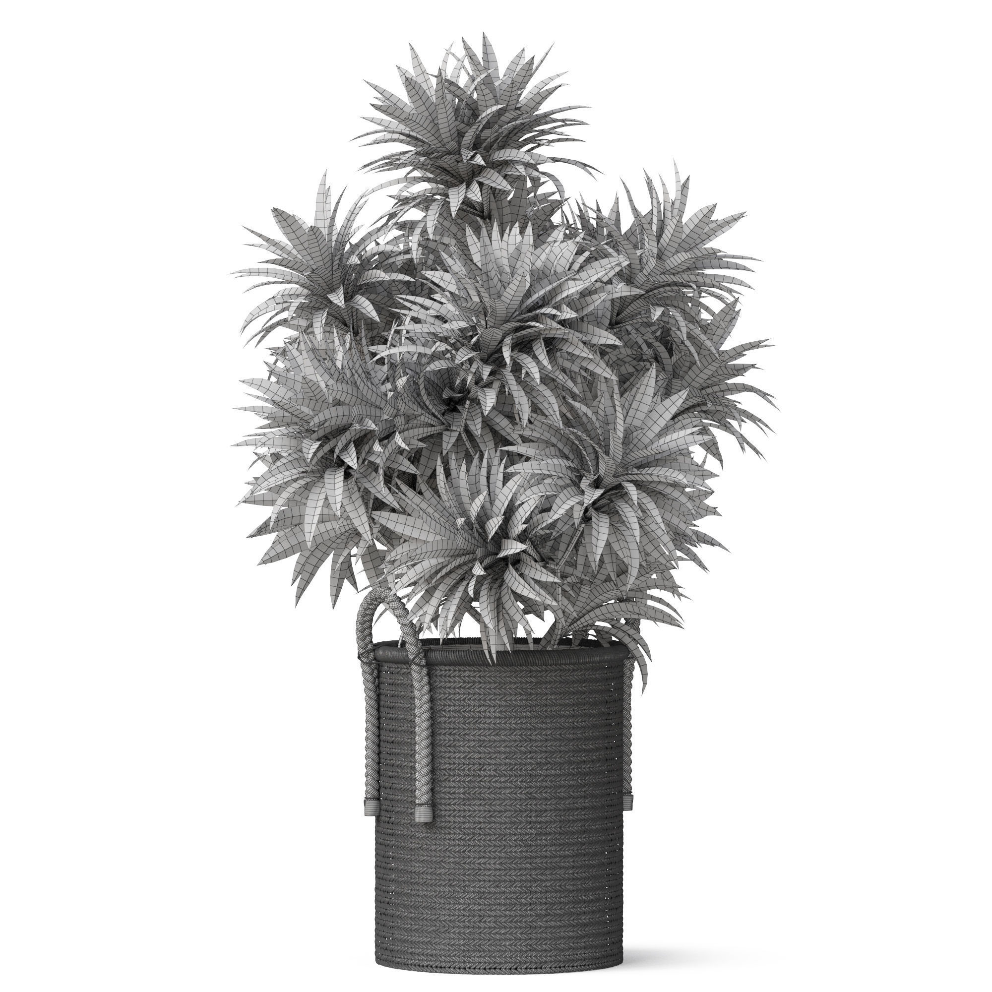 Plants collection 804 3D model_4