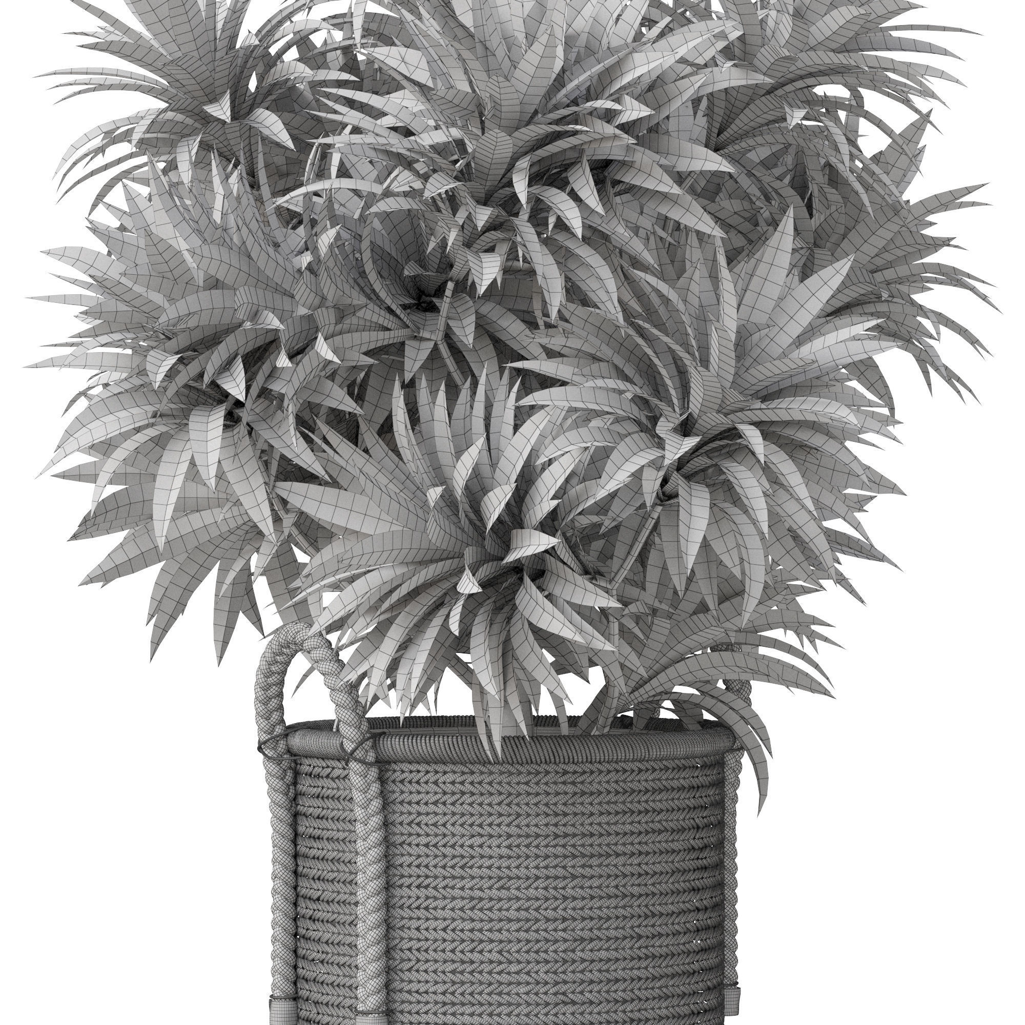 Plants collection 804 3D model_5