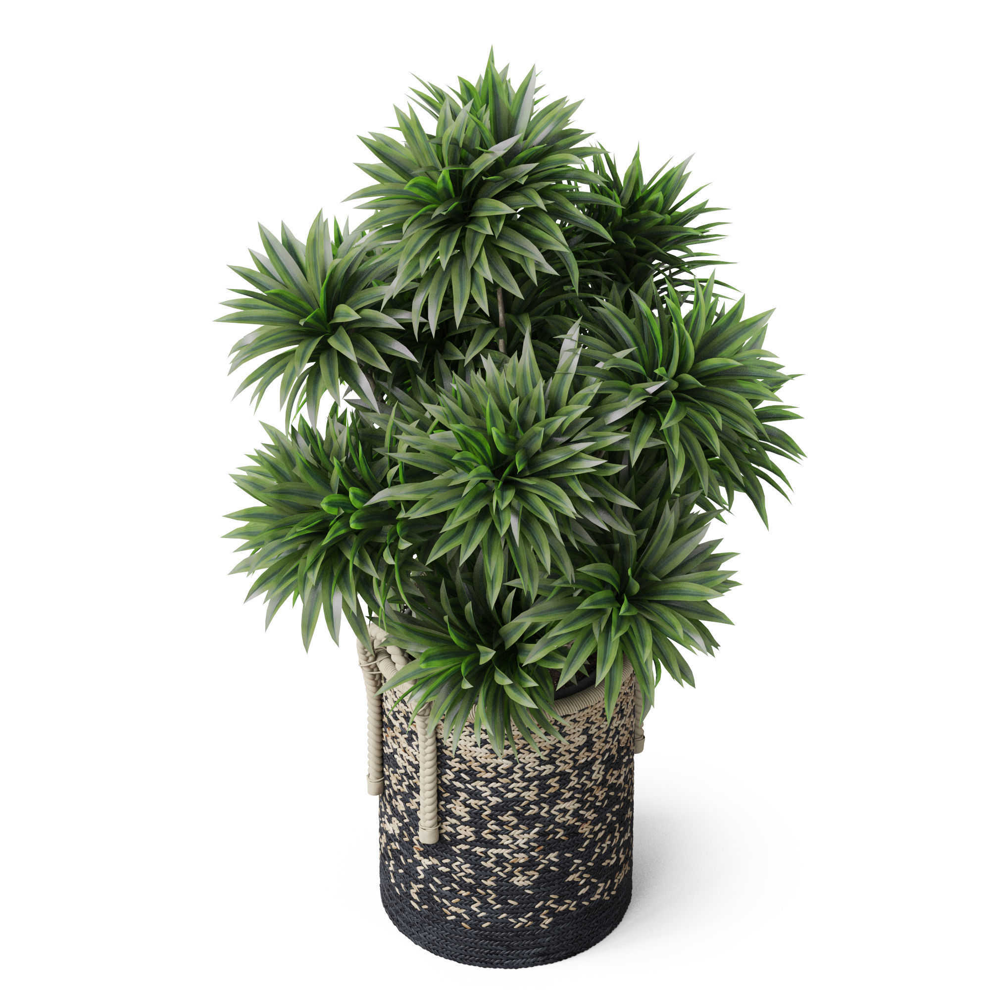 Plants collection 804 3D model_3