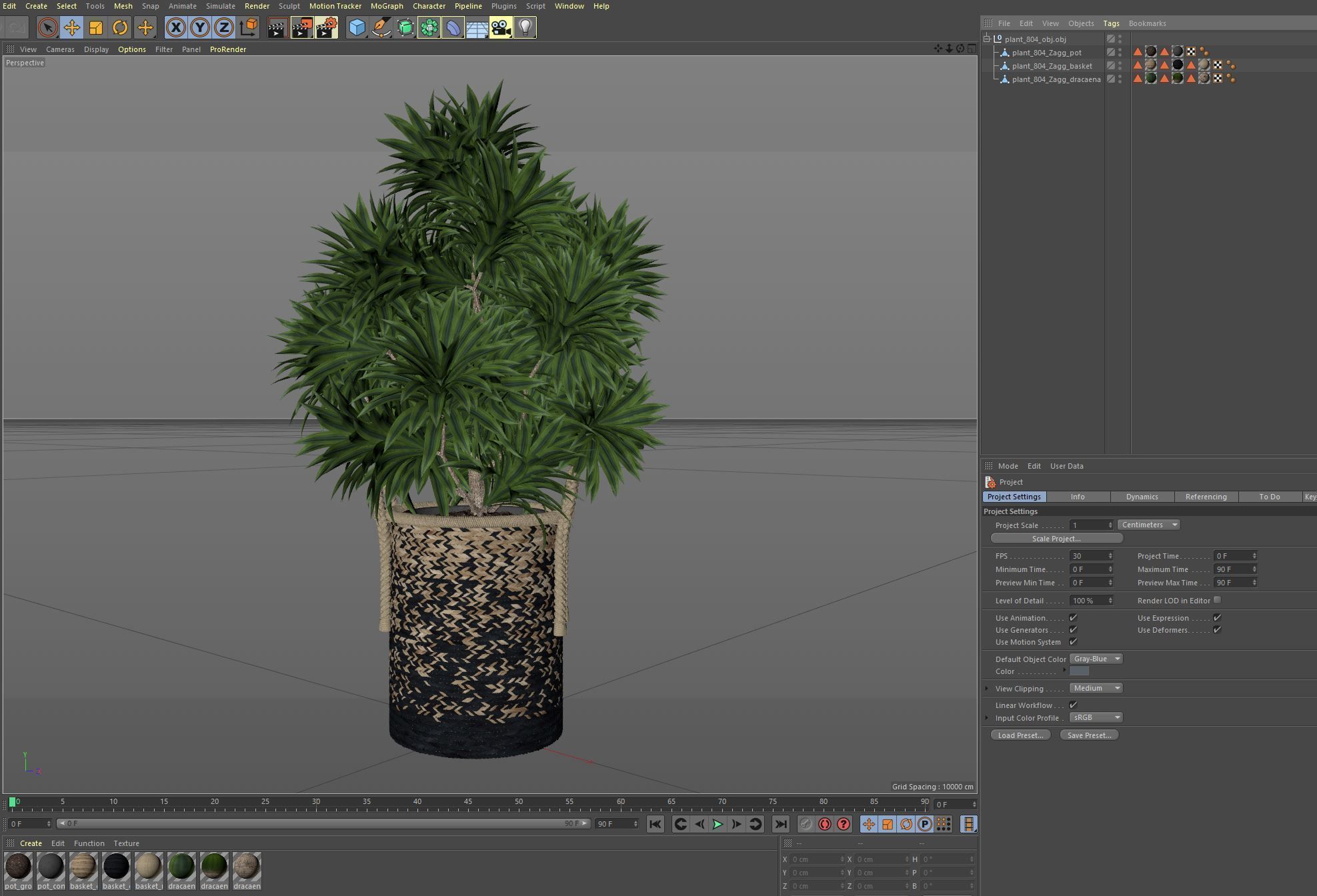 Plants collection 804 3D model_7