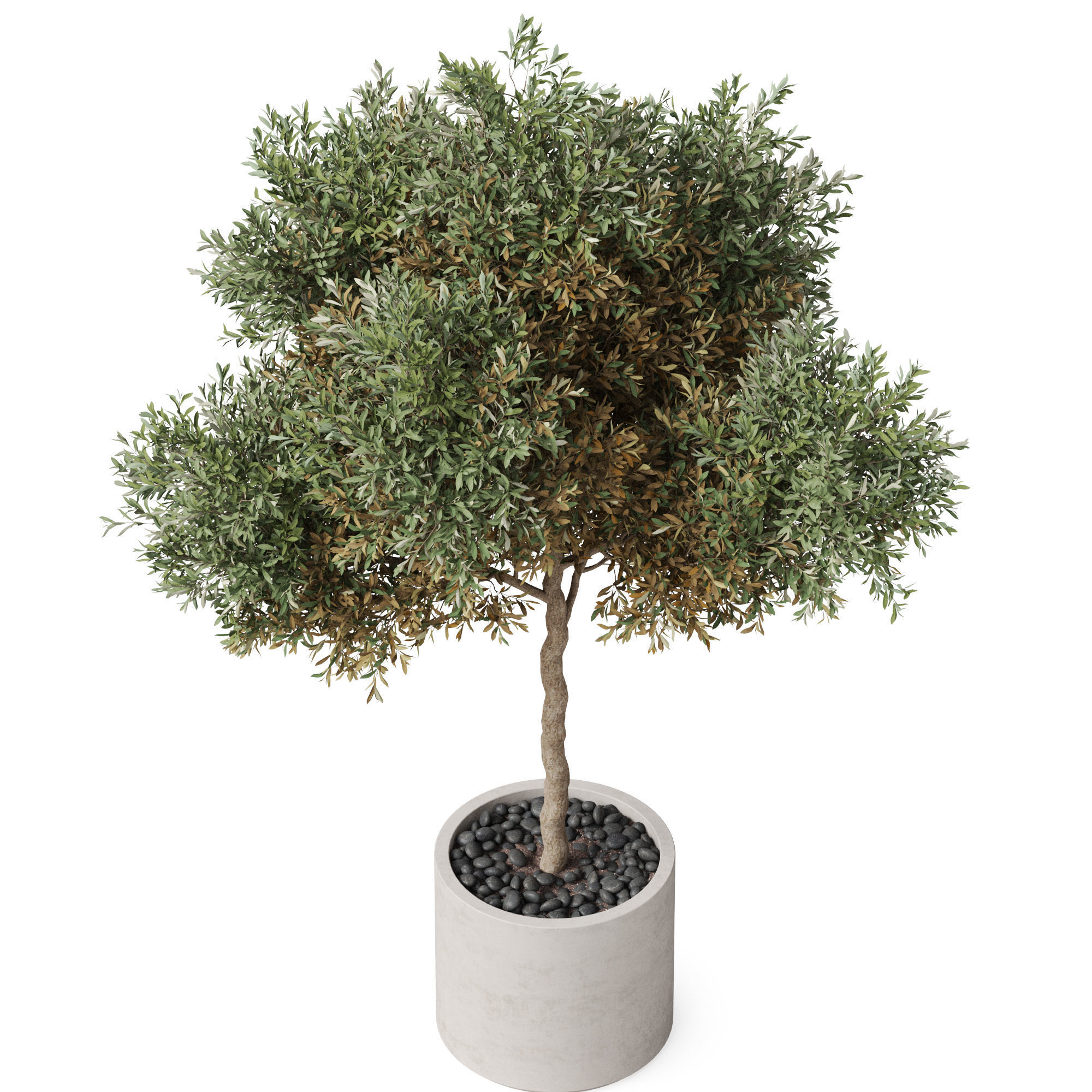 Plants collection 808 3D model_3